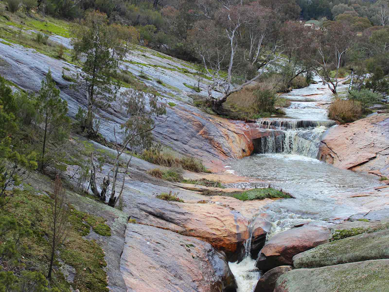 Powder Magazine to Woolshed Falls - Victoria's High Country