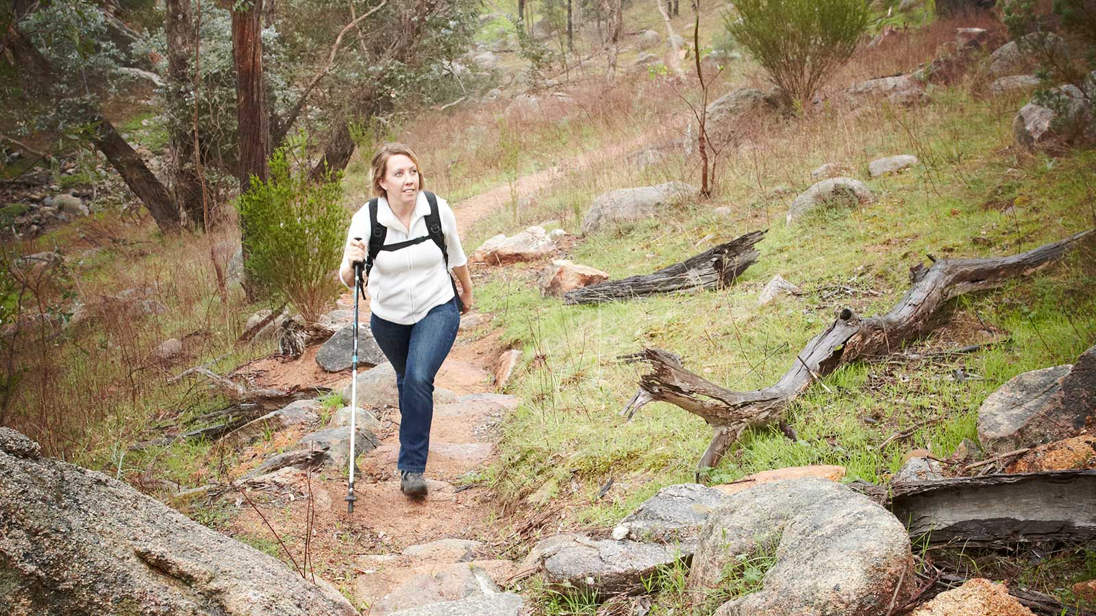 Pine Gully Nature Walk - Victoria's High Country