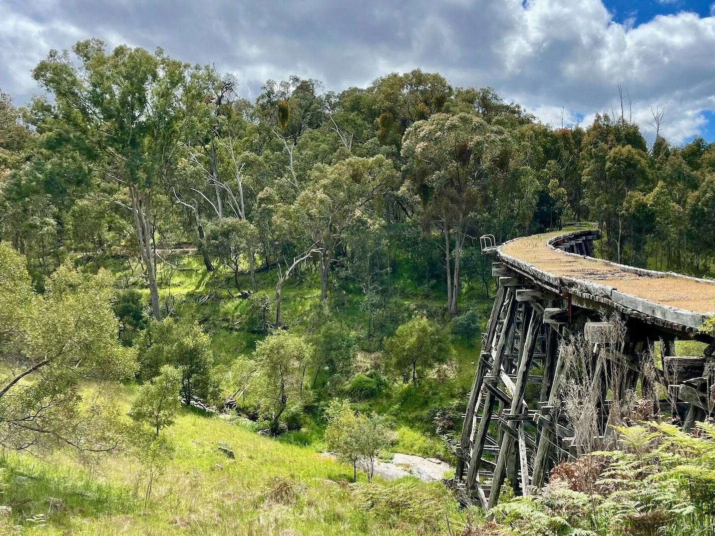Old trestle railway bridge in native bushland