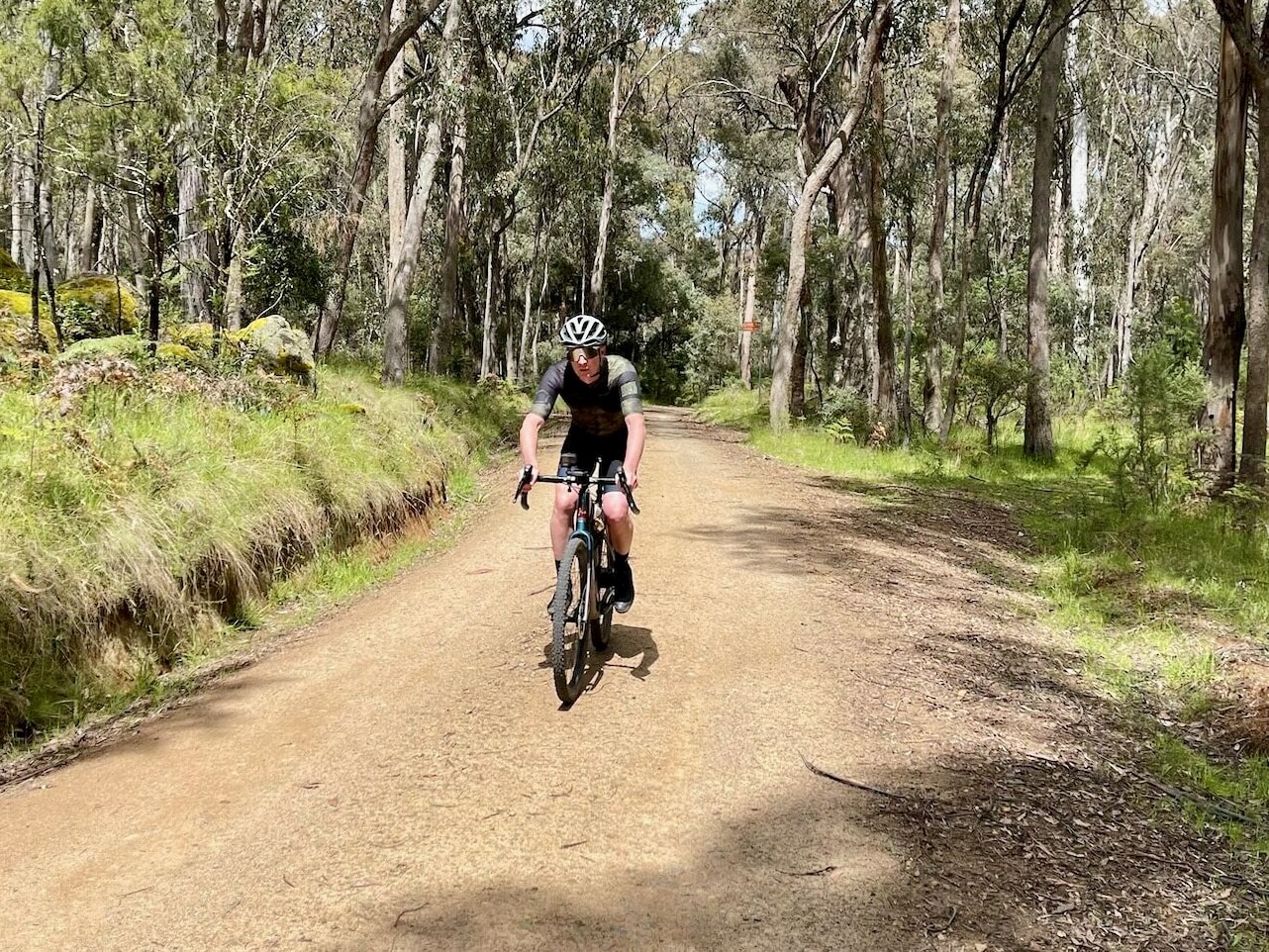 Cyclist riding on gravel road through native forest