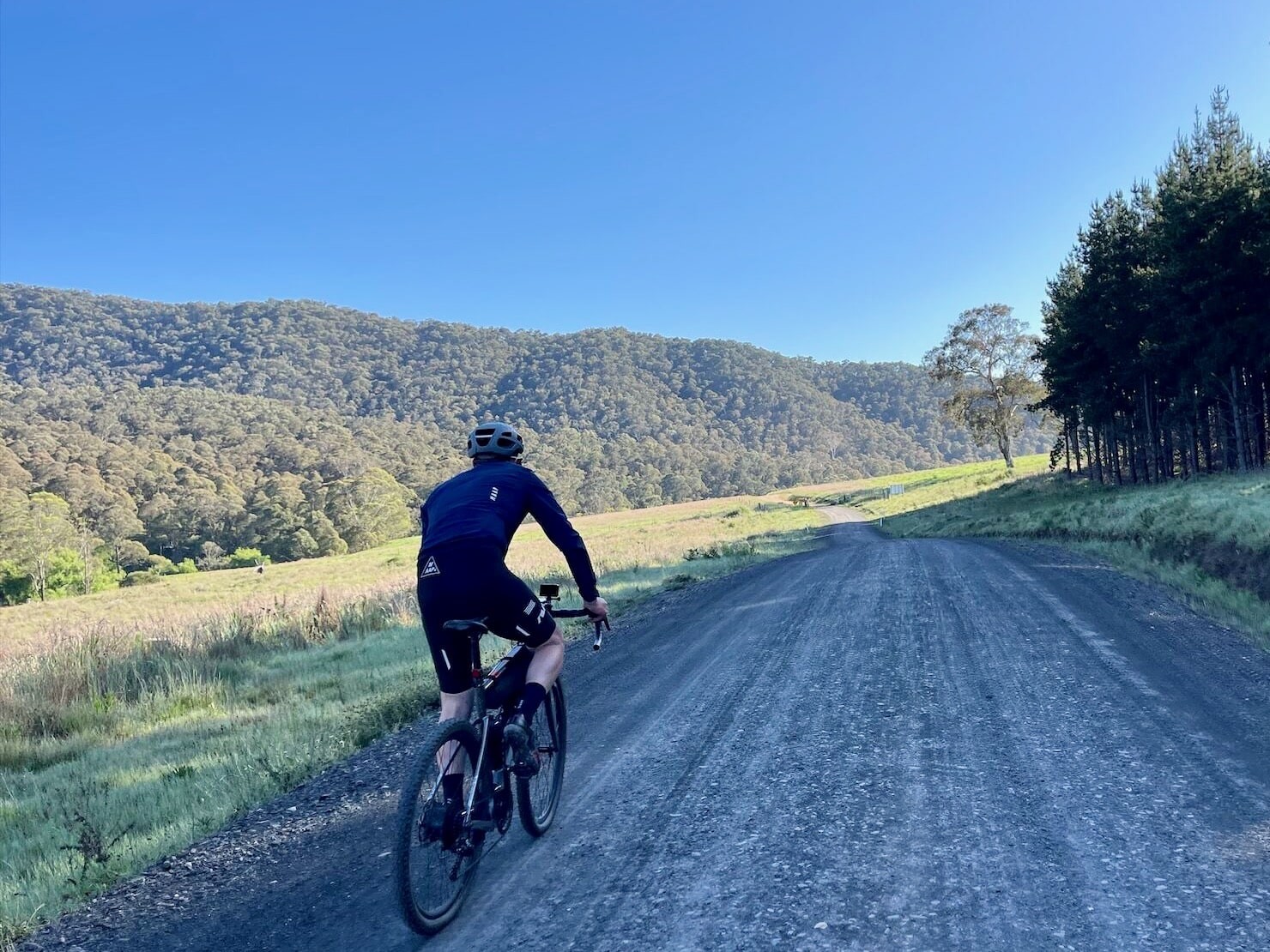 Riding through the pine forest with open farmland and native bush covered hills in the background