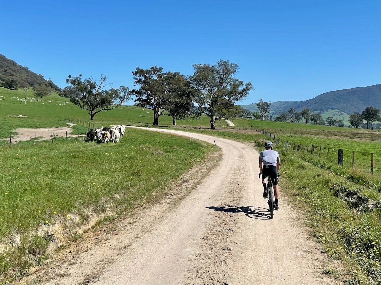 Cyclist riding on gravel road winding through farmland