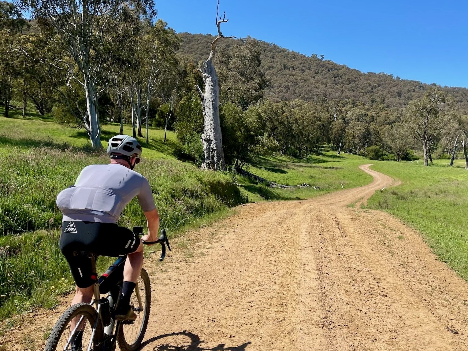 Cyclist riding up smooth gravel road leading to native forest