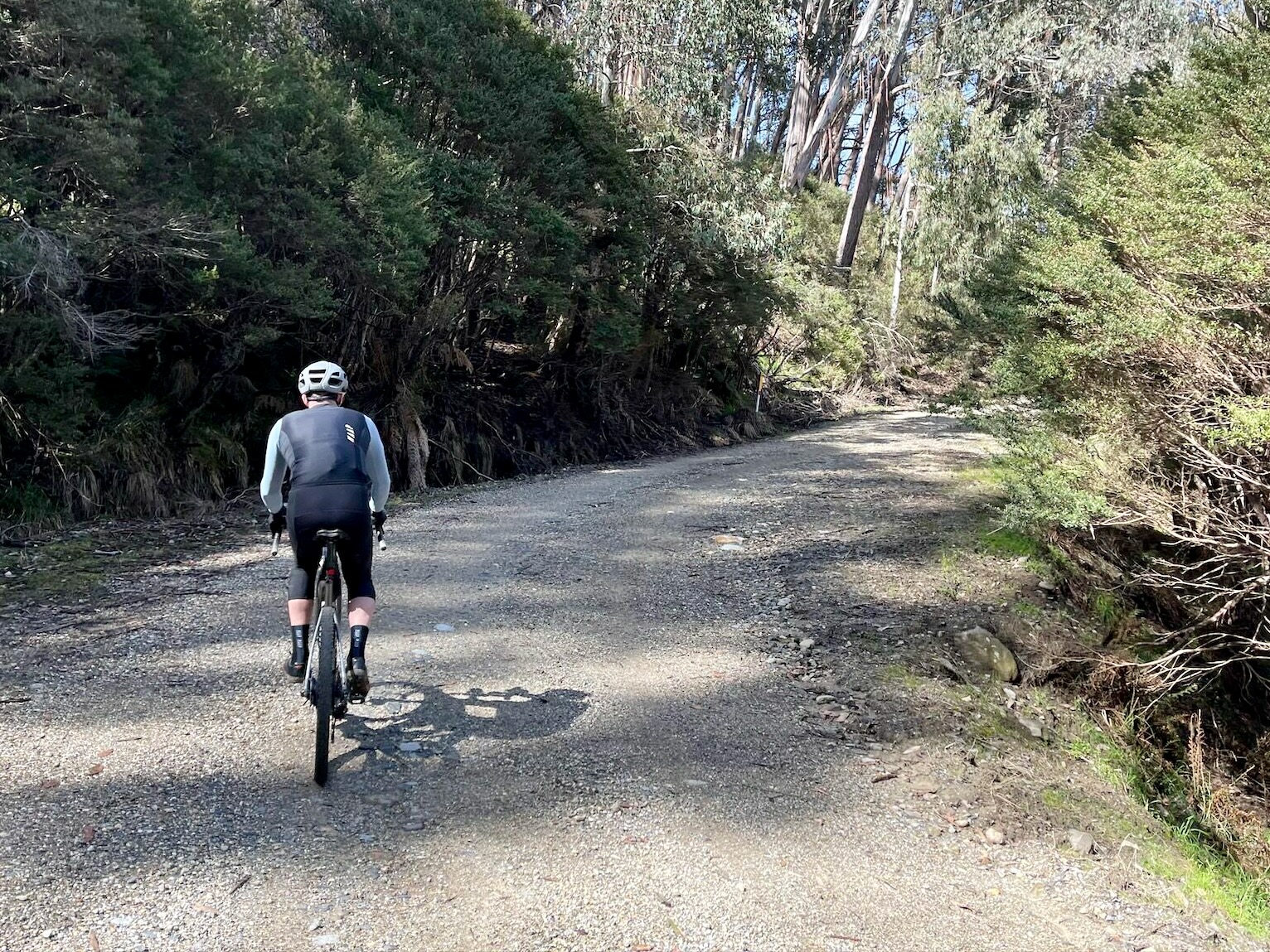 Cyclist riding up a winding gravel road surrounded by native bushland