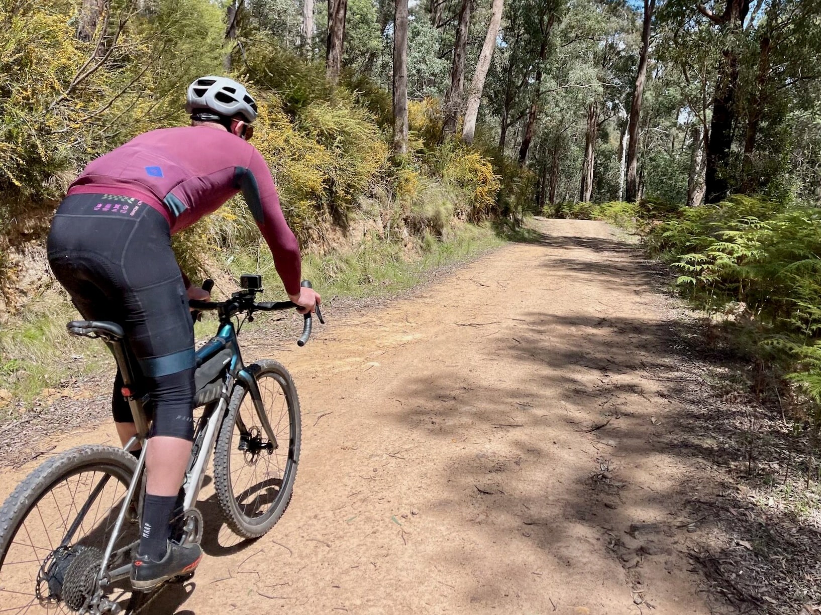 Cyclist standing over bike while descending on a gravel road through native forest