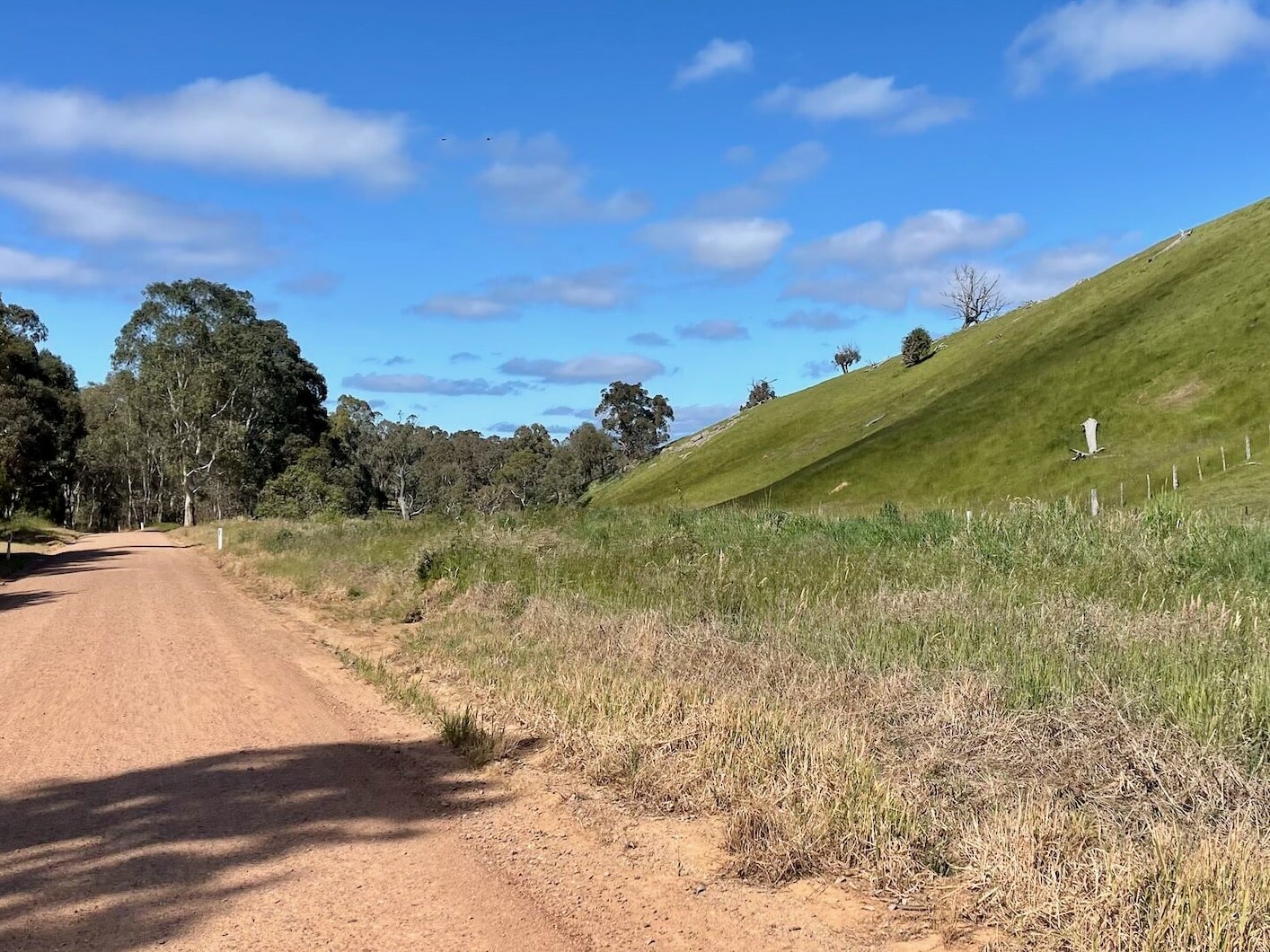 Gravel road running through native bushland