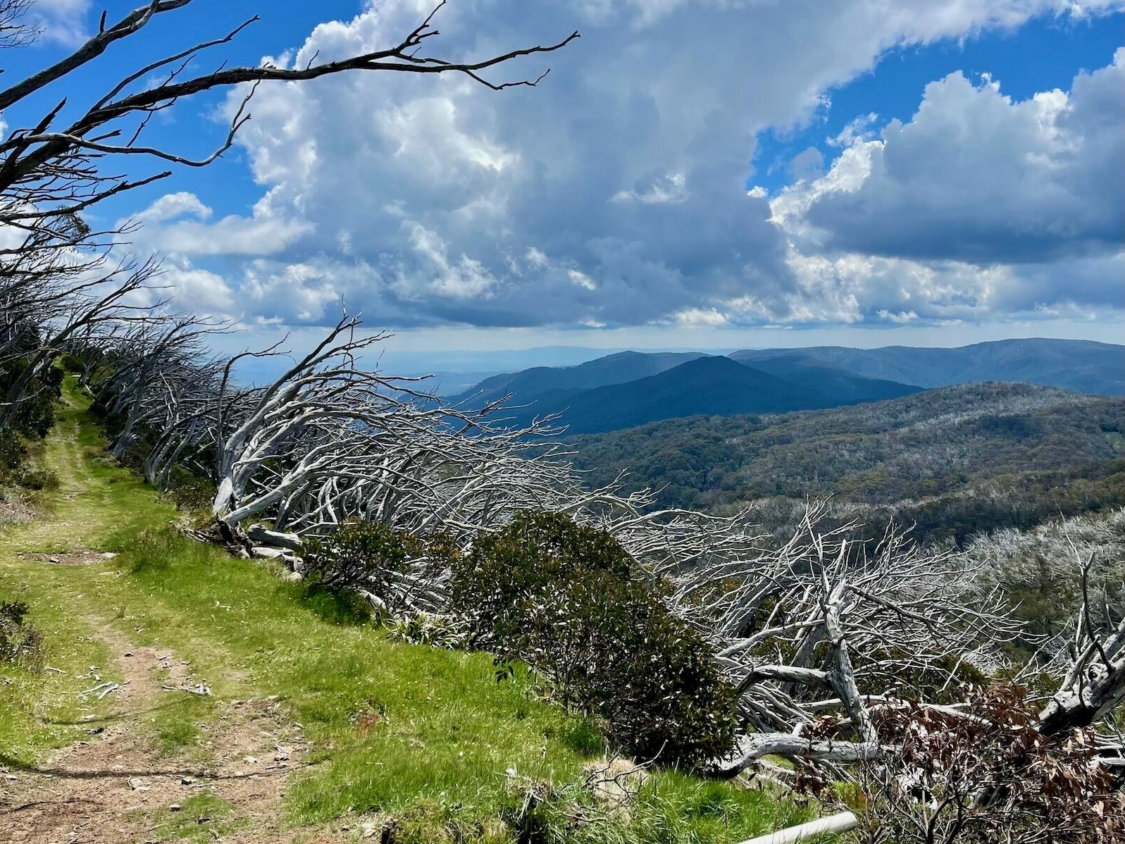 Mountain views from the top of Mt Stirling