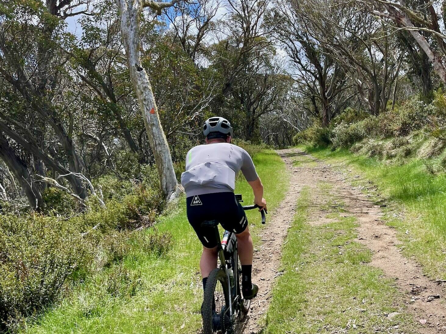 Cyclist riding through native bushland