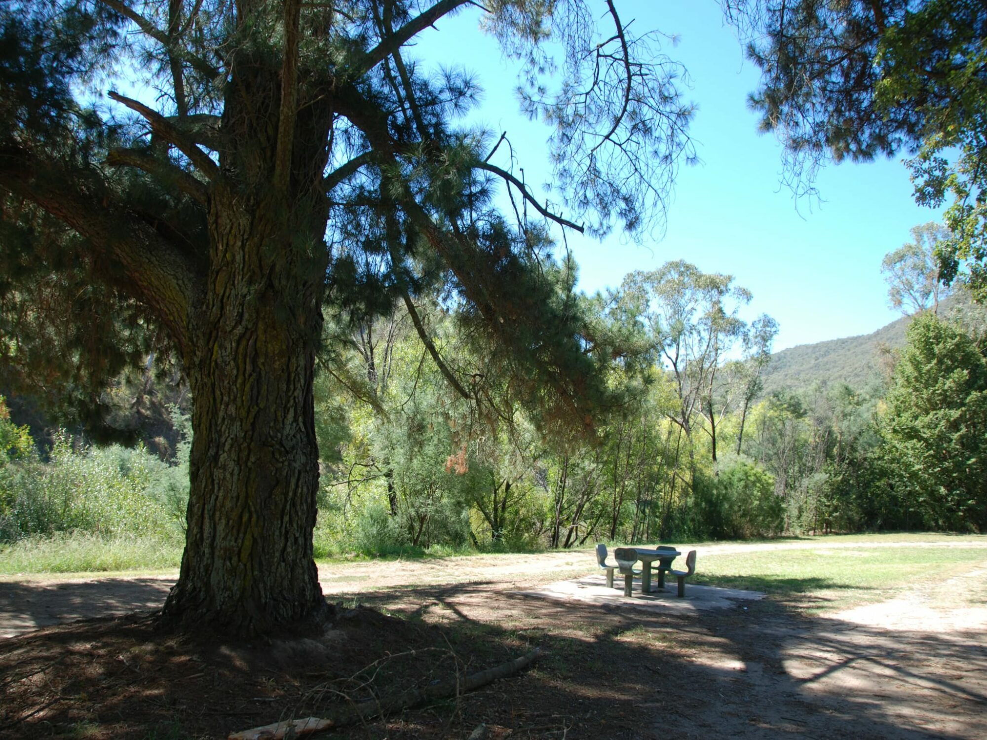 Berringama Roadside Rest Area - Victoria's High Country