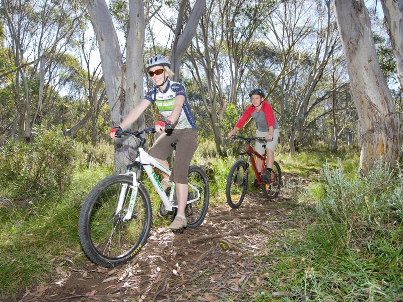 Mountain Bike Riding in the High Country - Victoria's High Country