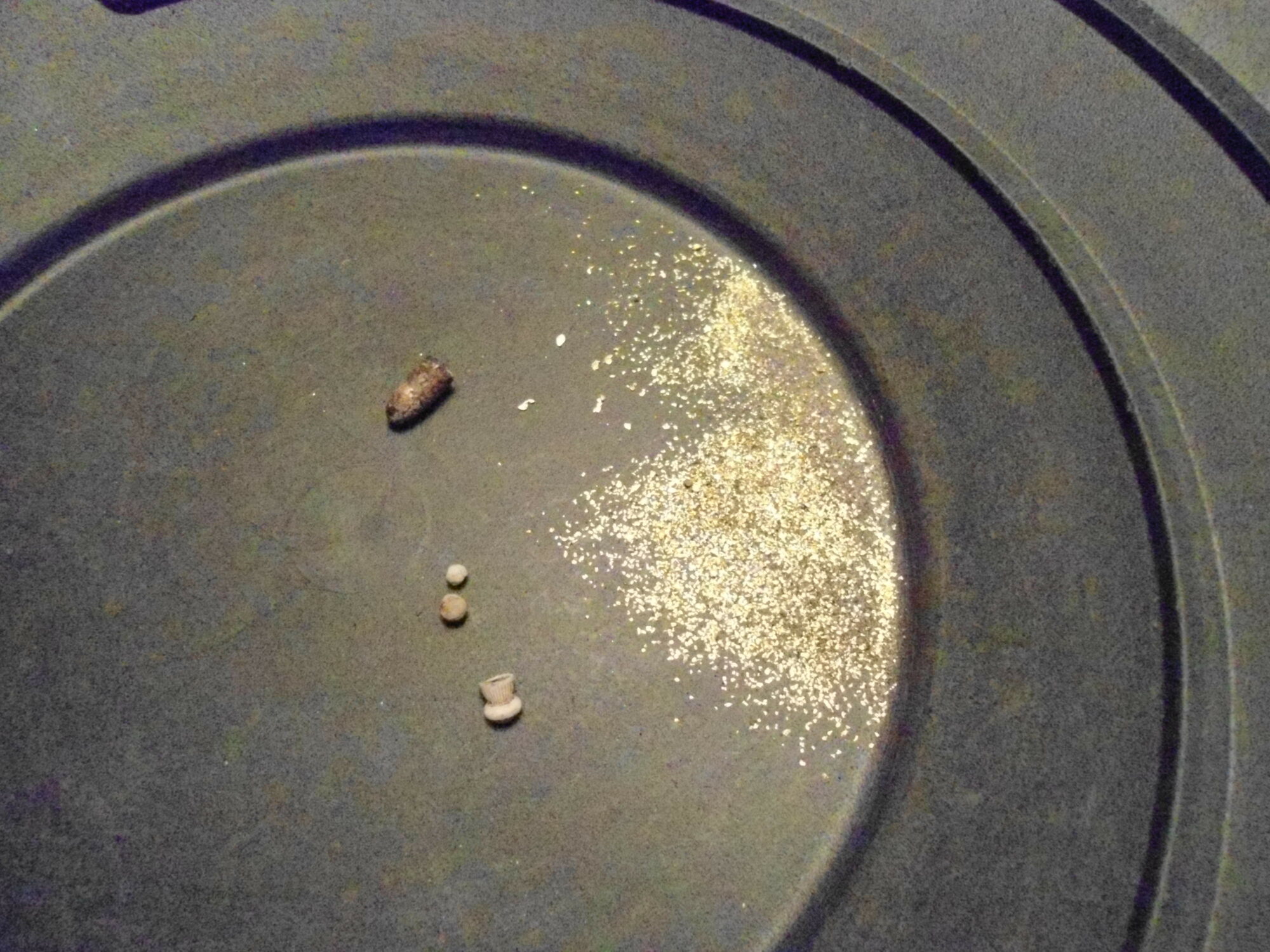 Gold Panning & Fossicking - Victoria's High Country