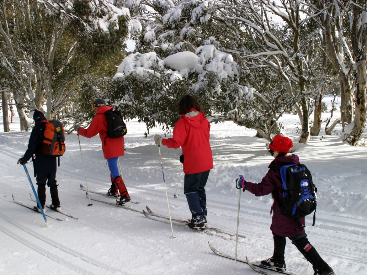 Cross Country Skiing - Victoria's High Country