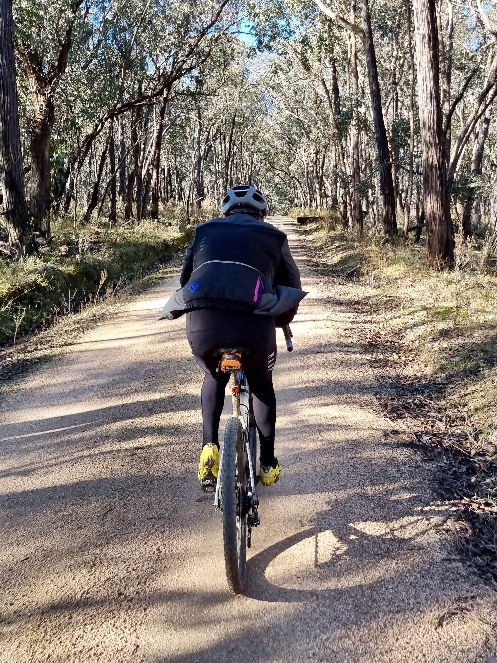A cyclist riding up a crushed granite gravel road surrounded by native forest