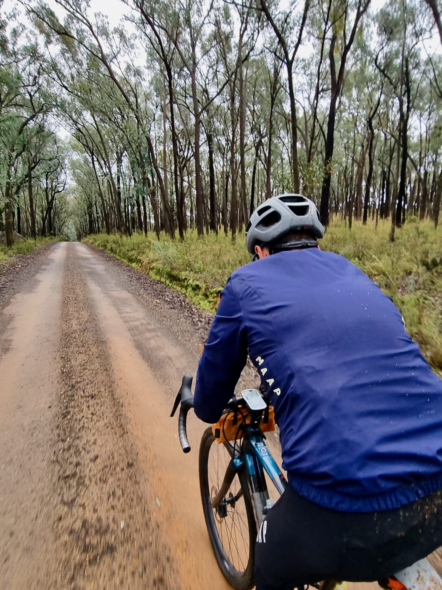 A cyclist on a smooth gravel road riding through native bushland on a wet day