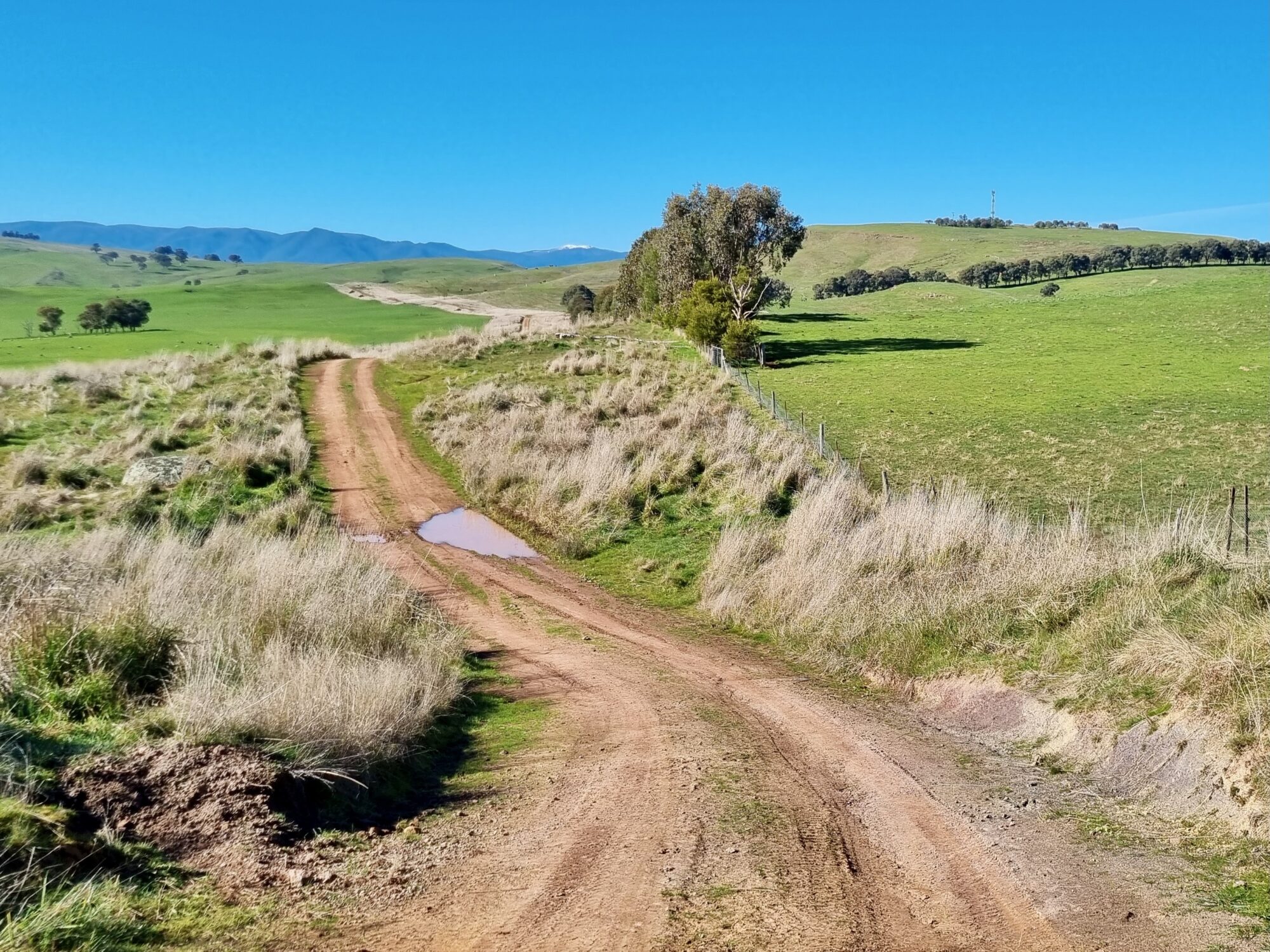 Winding gravel road through green open farmland with snow capped mountain in the background on a sunny day