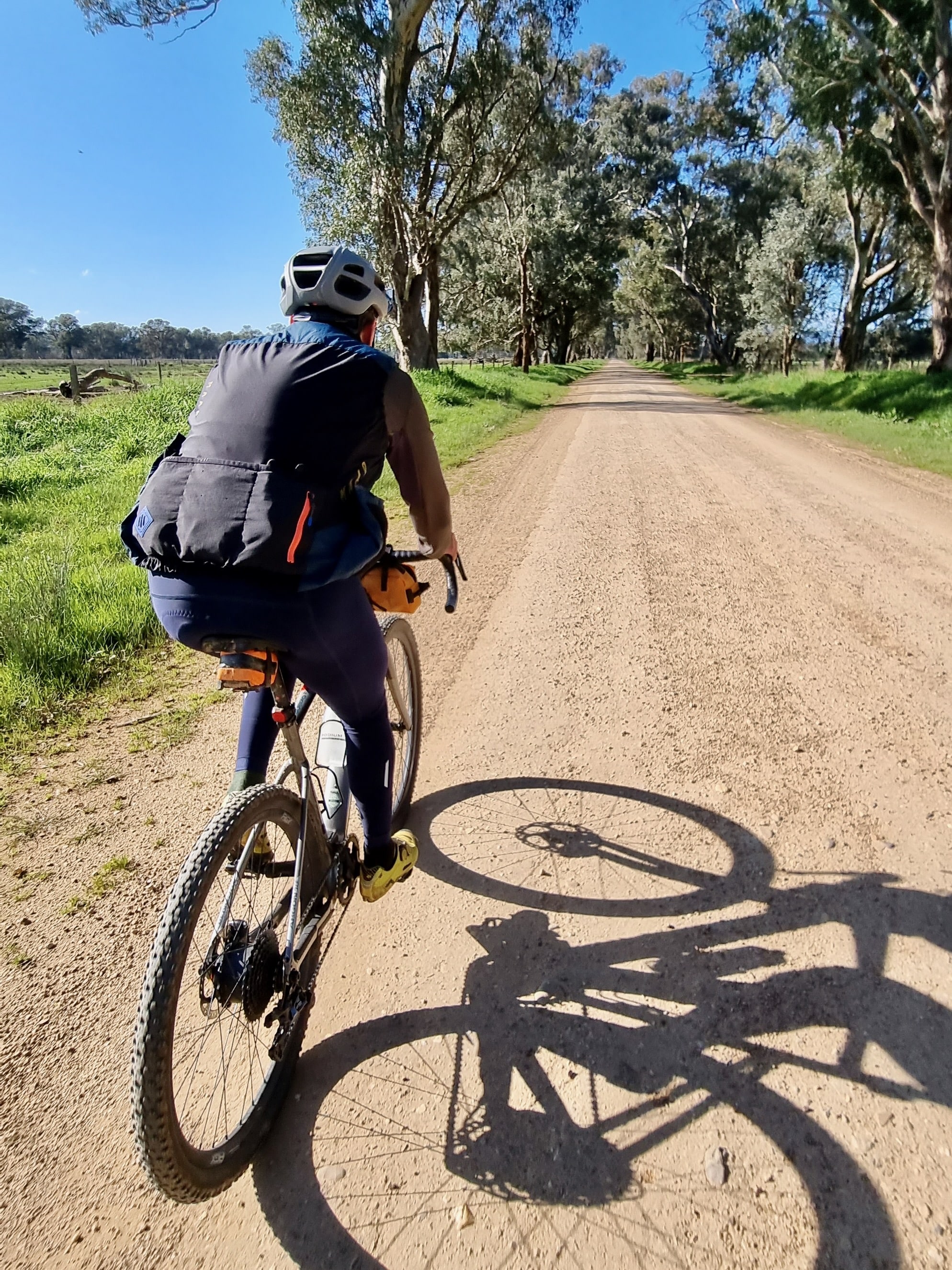 Gravel road treelined with native trees and cyclist riding a gravel bike on a sunny day