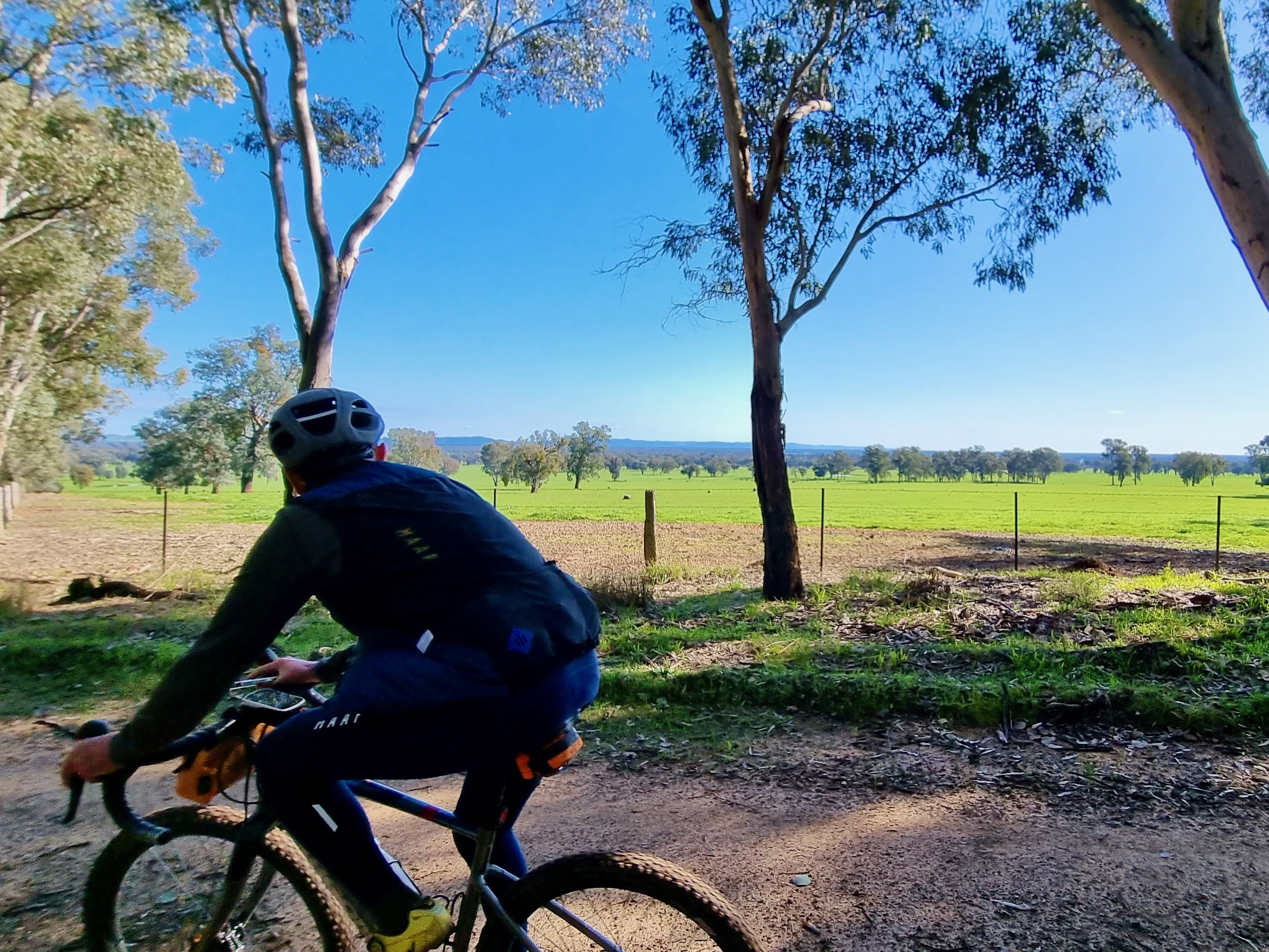 Cyclist riding through native bushland admiring the the scenery  of open farmland and mountains in the distance on a sunny day