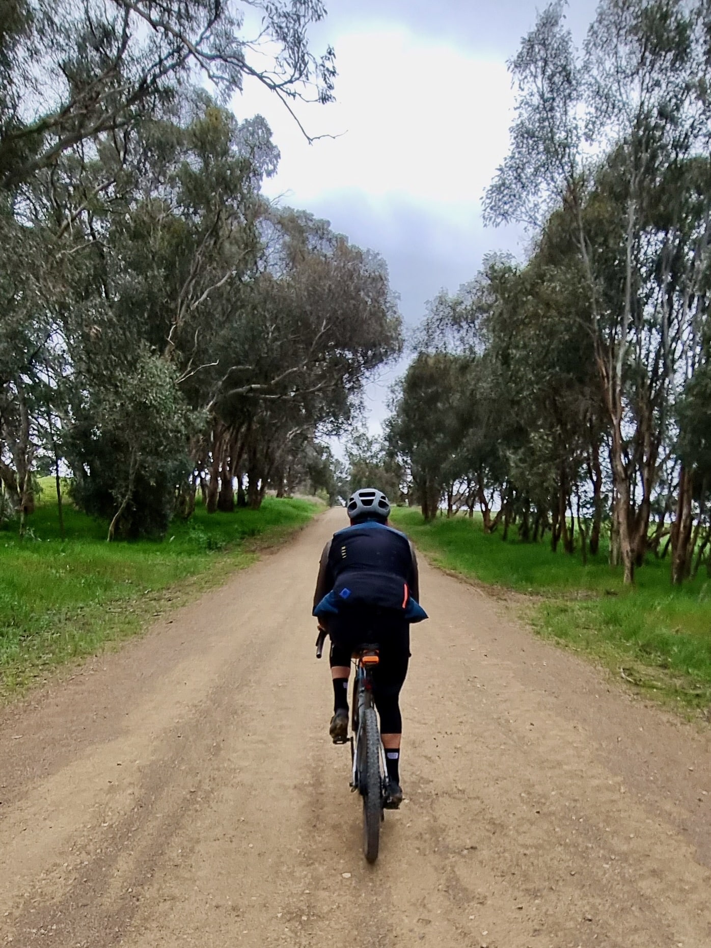Gravel cyclist riding on smooth gravel road surrounded by native bushland and open farmland