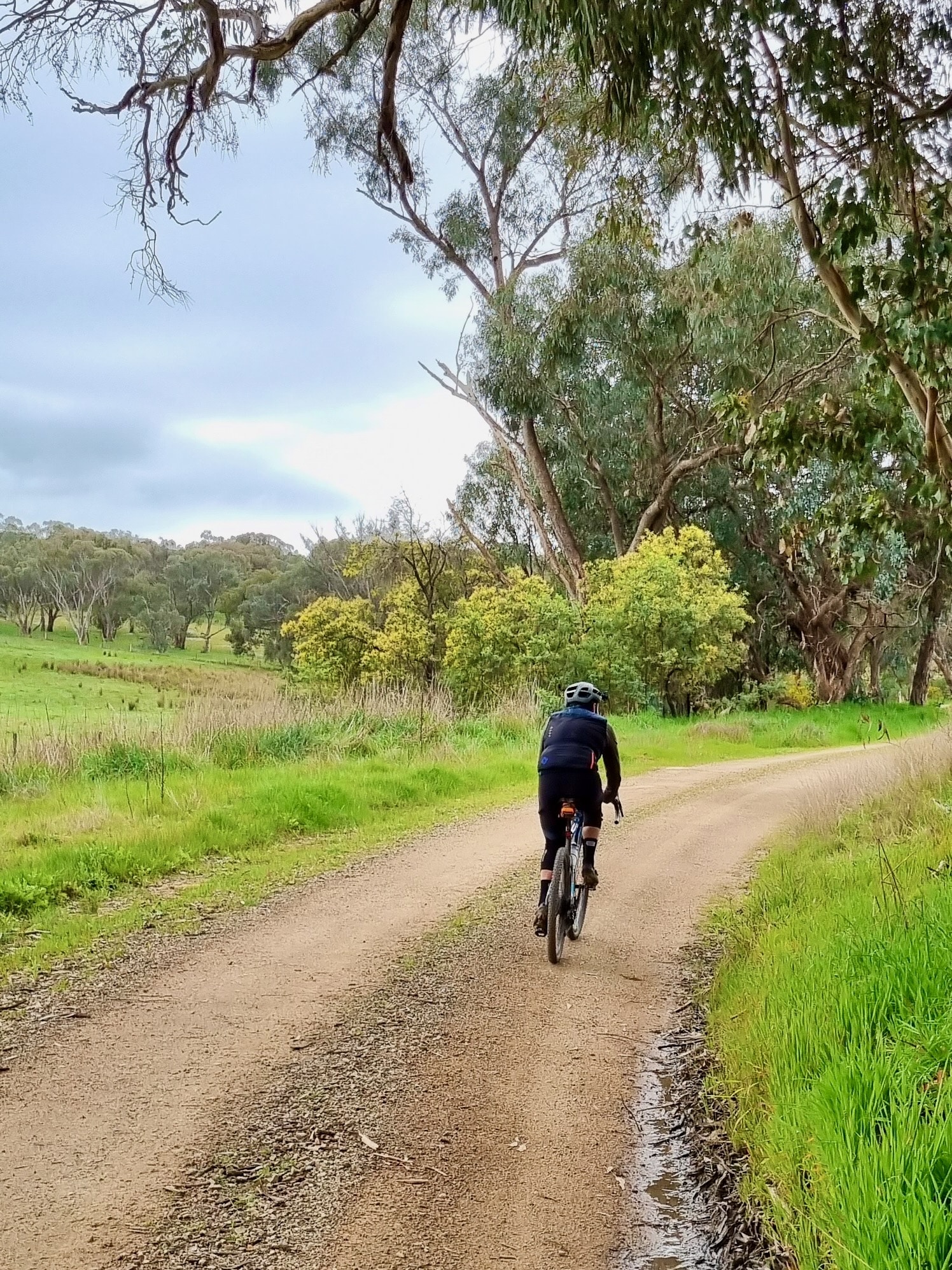 Cyclist riding on smooth quiet gravel road in native bushland
