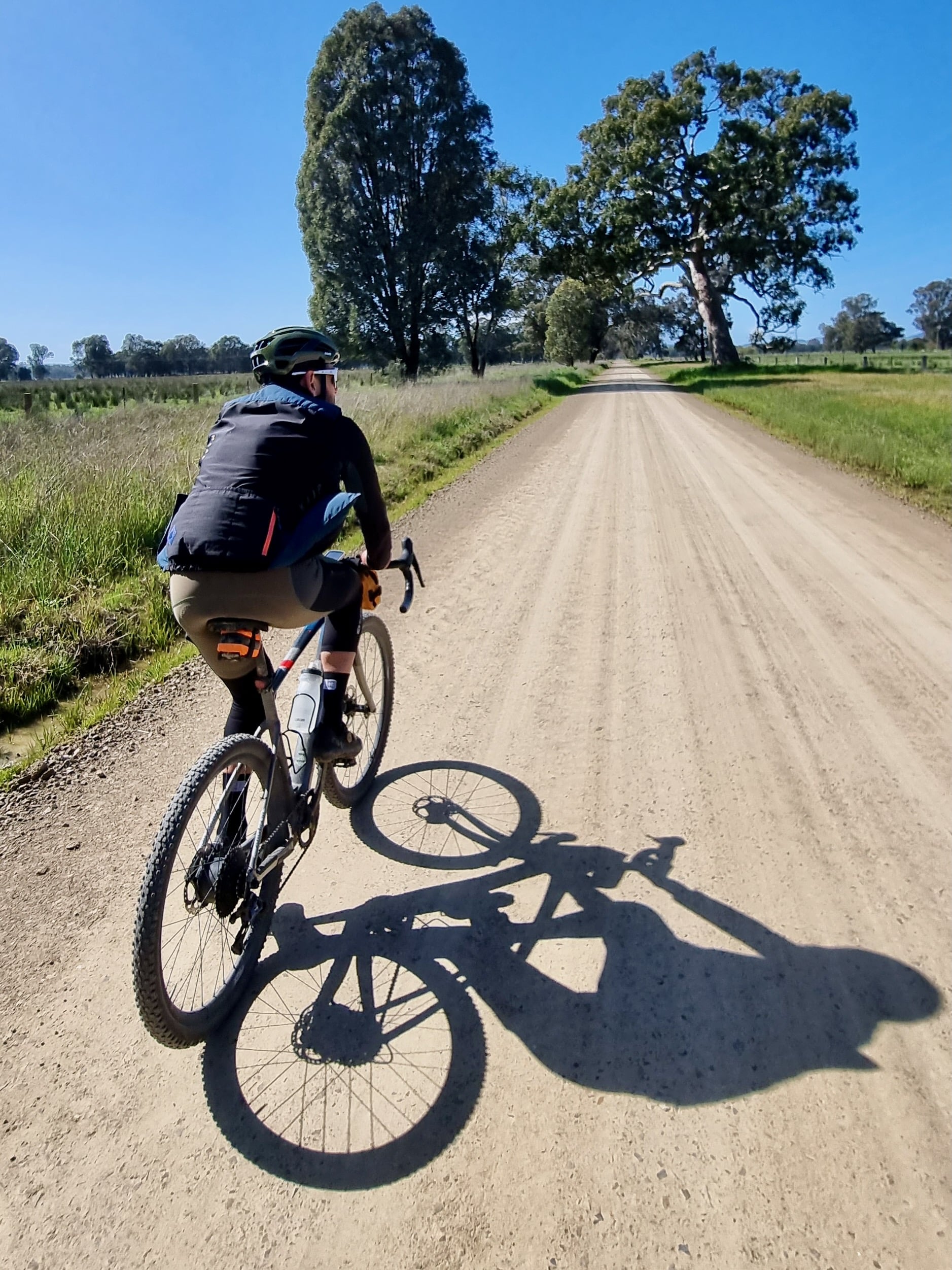Cyclist riding on a tree-lined smooth gravel road on a sunny day