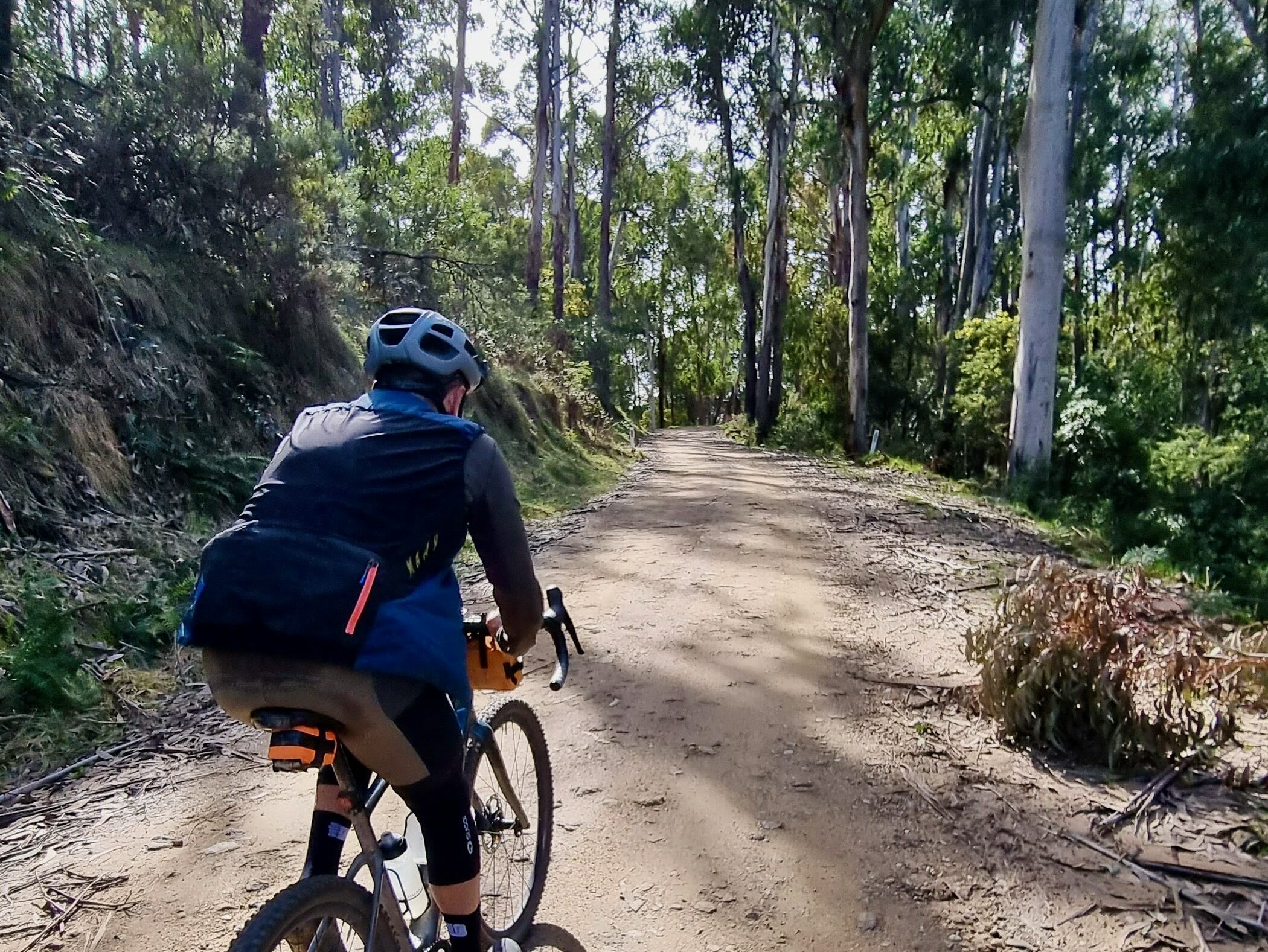 Gravel road rising up through native forest and cyclist on a gravel bike riding 