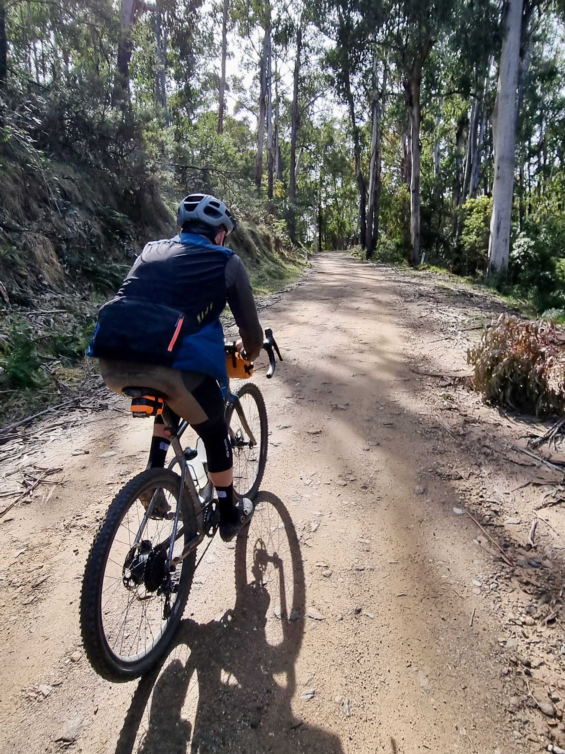 Cyclist riding up a gravel road through native bushland