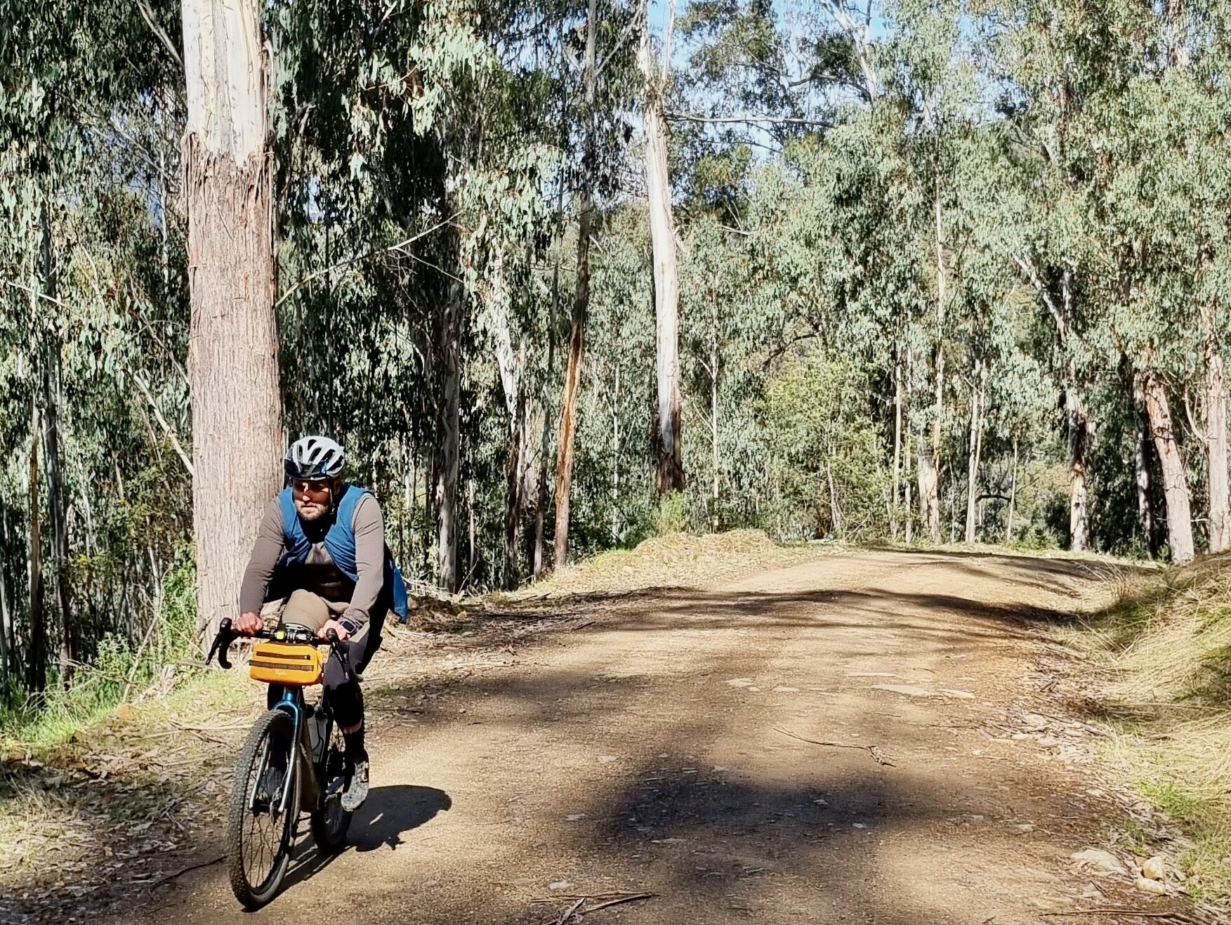 Cyclist pedaling up a winding gravel road through native forest on a sunny day