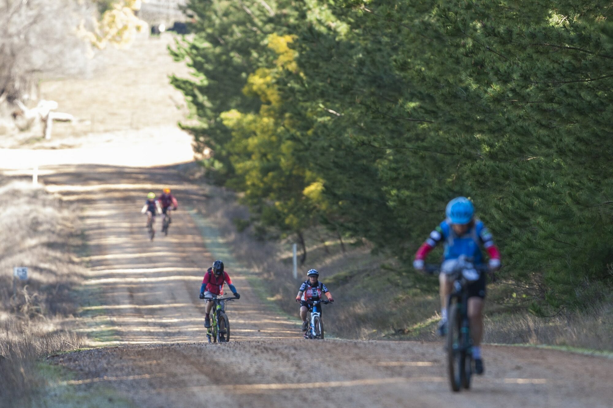 5Zero gravel ride – short course - Victoria's High Country