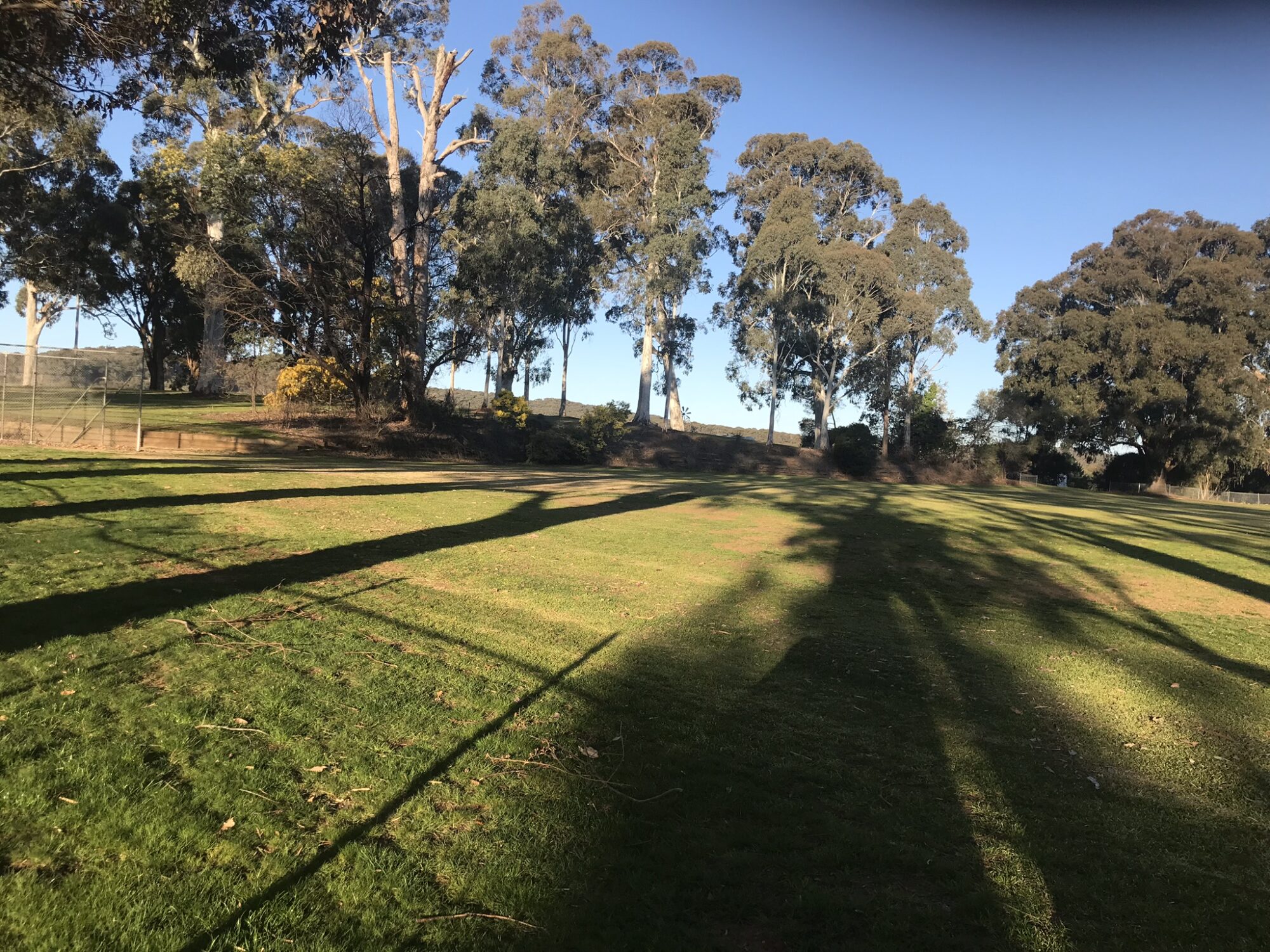 Mayday Hills Tree Walks – Eucalyptus Walk - Victoria's High Country