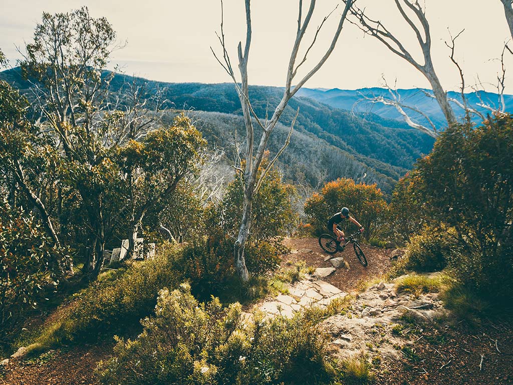 Picnic Trail - Victoria's High Country