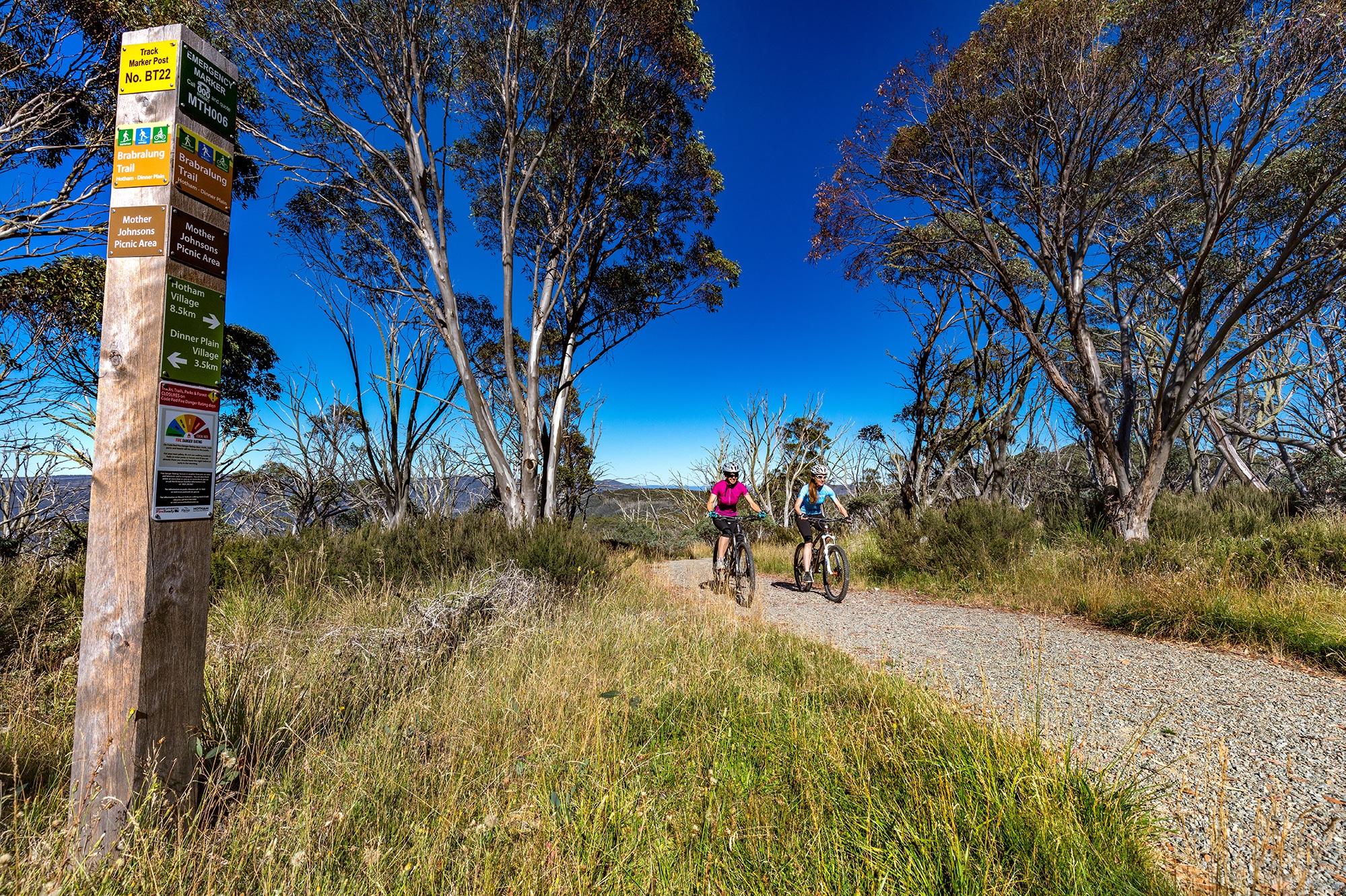Brabraulung (Hotham to Dinner Plain) Trail - Victoria's High Country