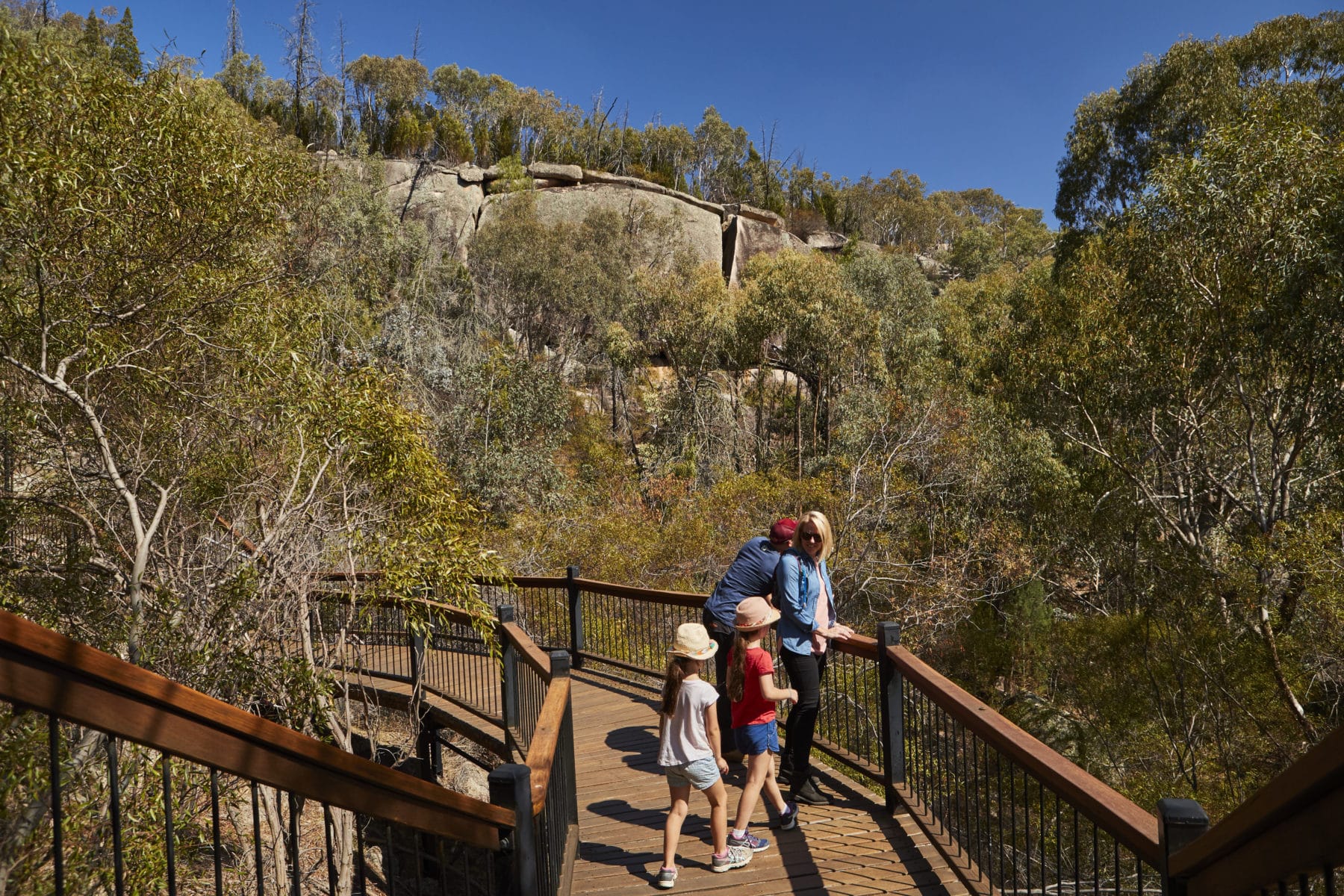 Yeddonba Aboriginal Cultural Site Walk - Victoria's High Country
