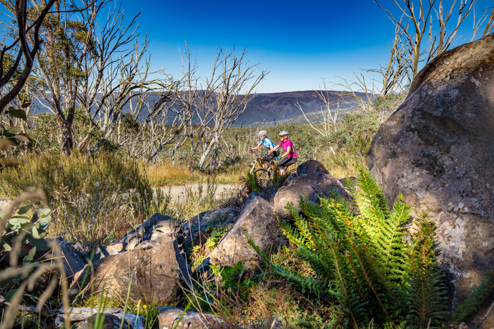 Brabralung Trail – Hotham to Dinner Plain - Victoria's High Country