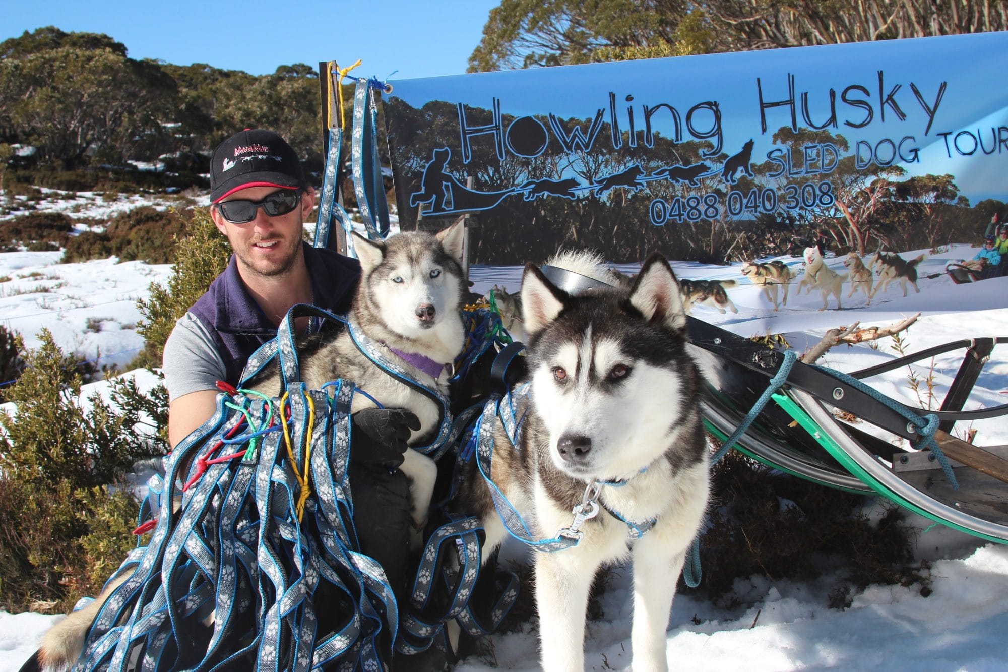 Howling Huskys - Victoria's High Country