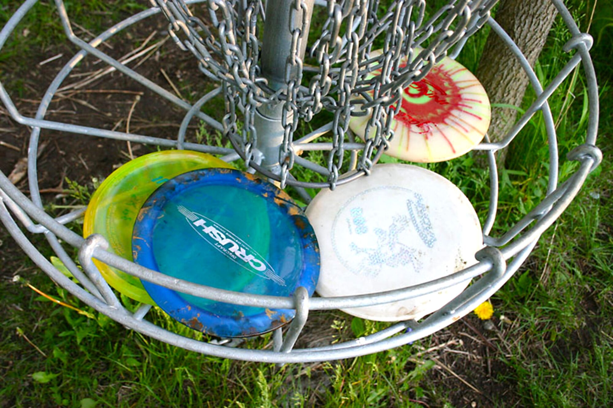 Frisbee Golf - Victoria's High Country
