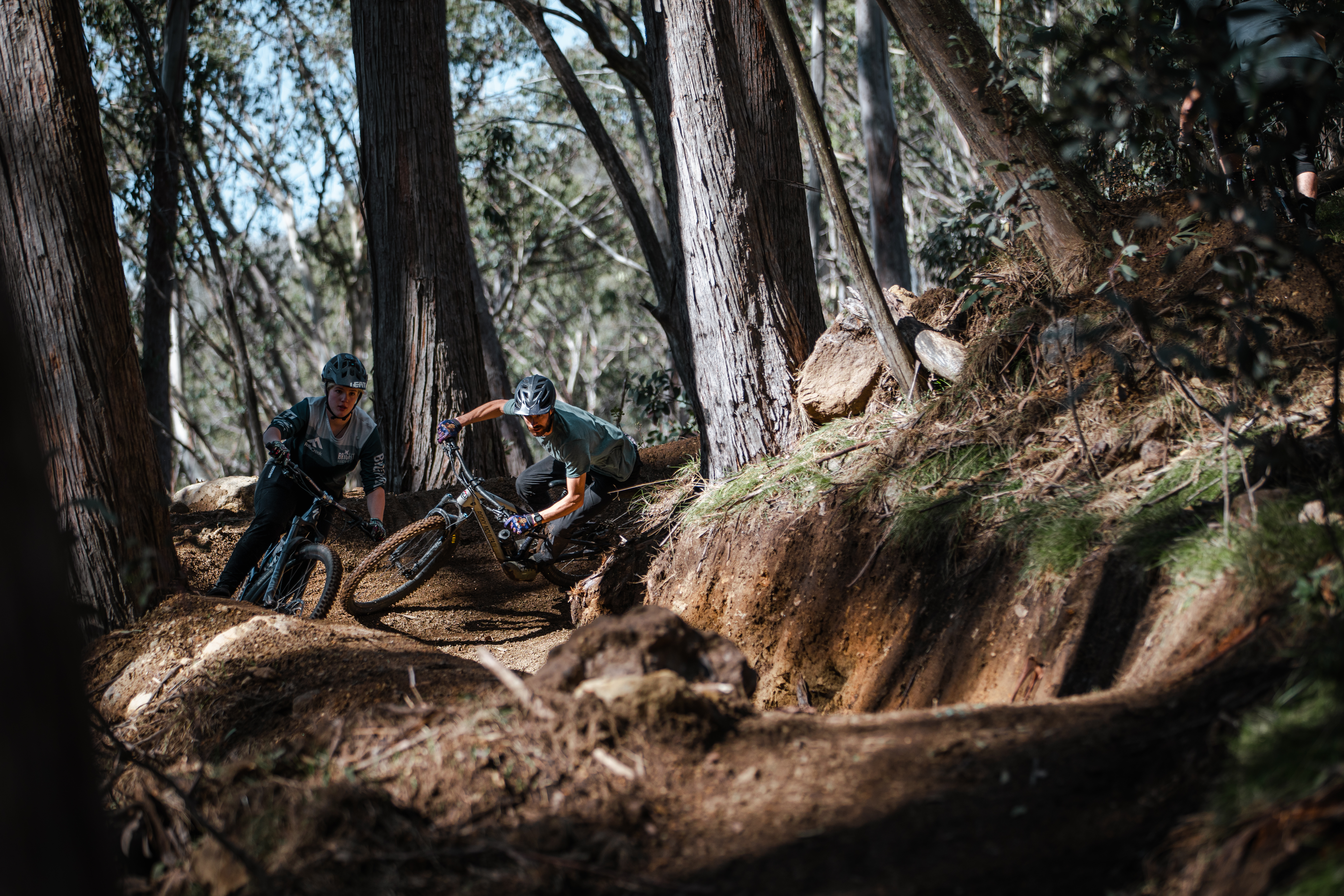 Skyline Mountain Bike Trail