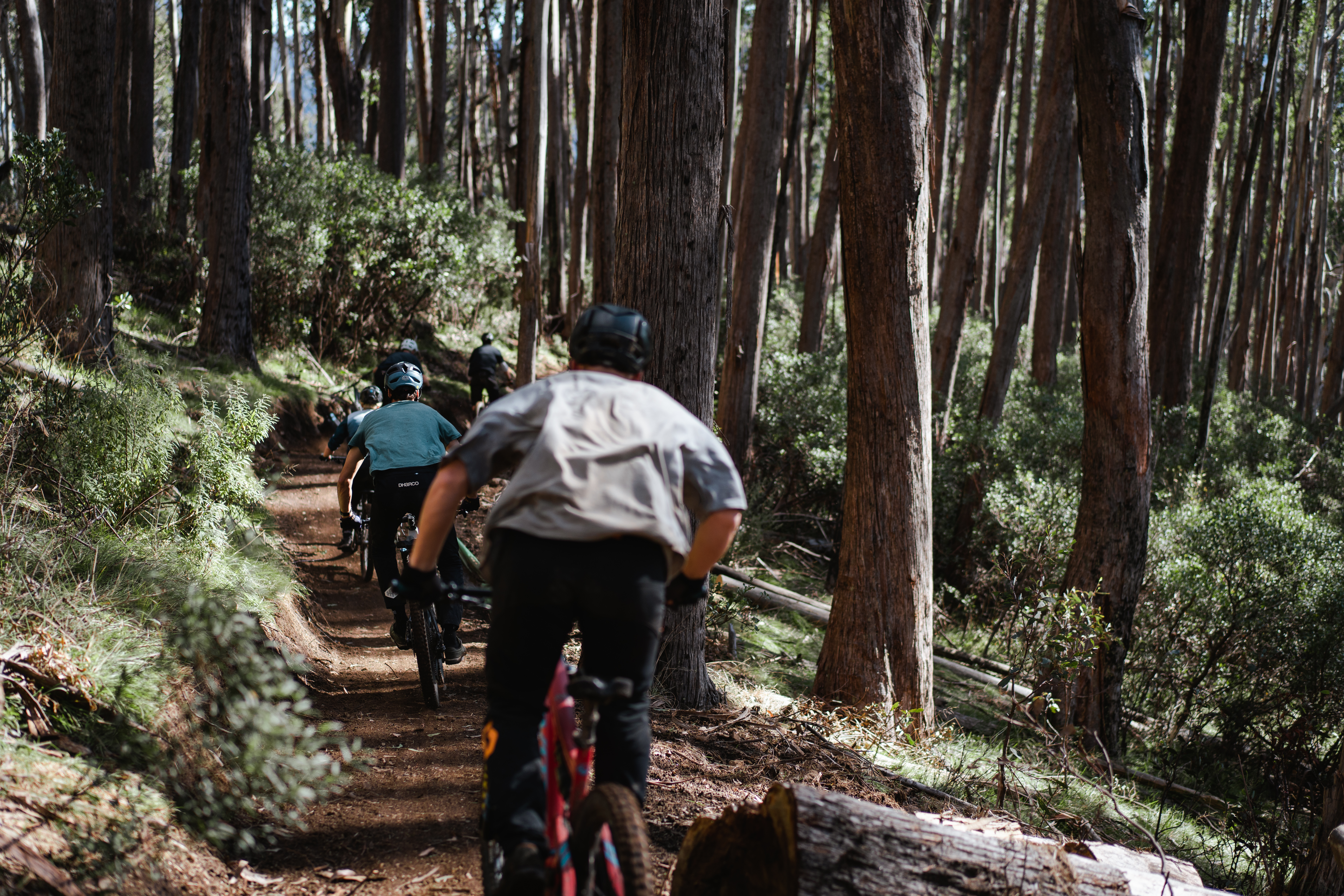 Skyline Mountain Bike Trail