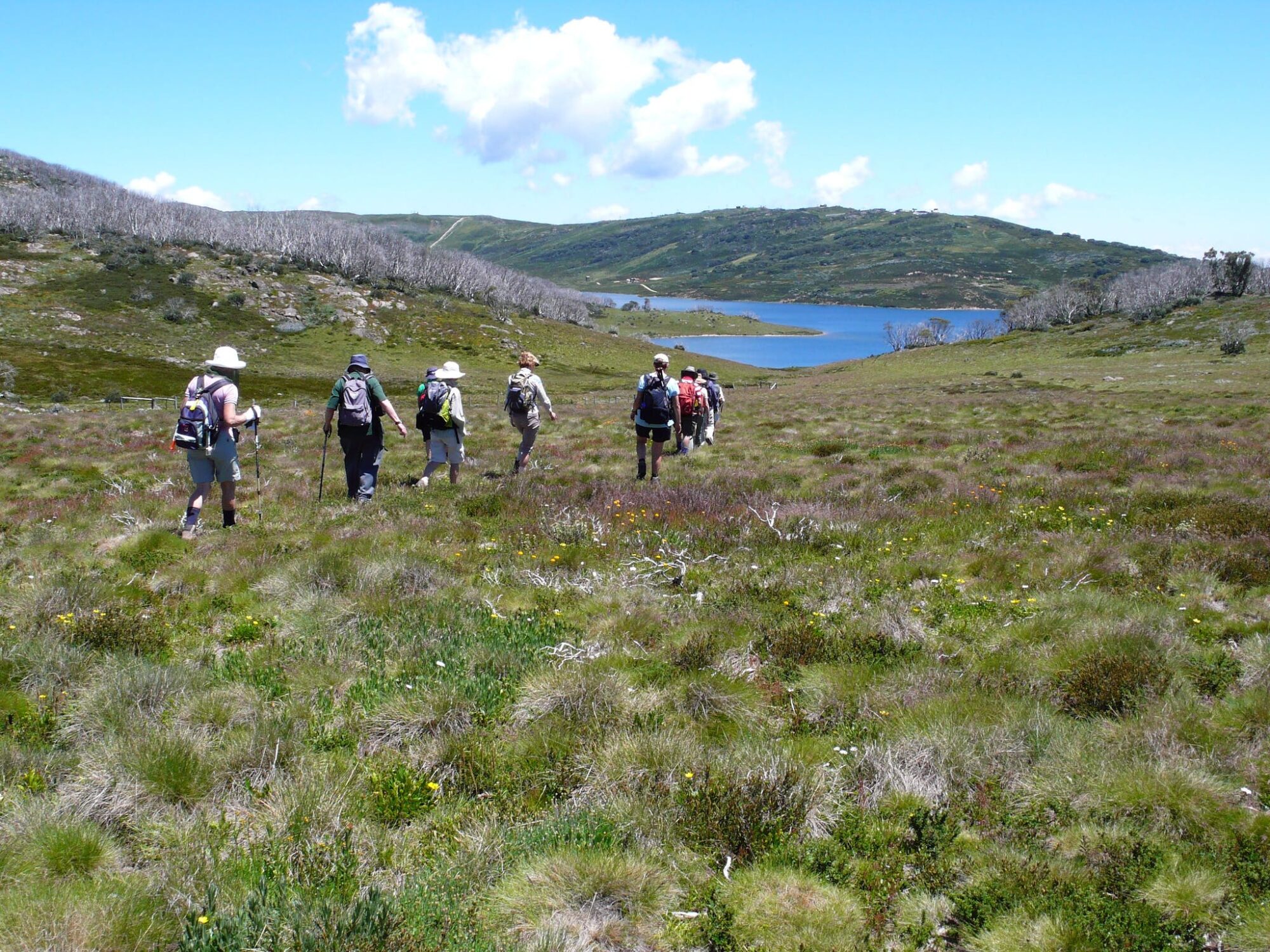 Great Alpine Walk – 7 Day Guided - Victoria's High Country