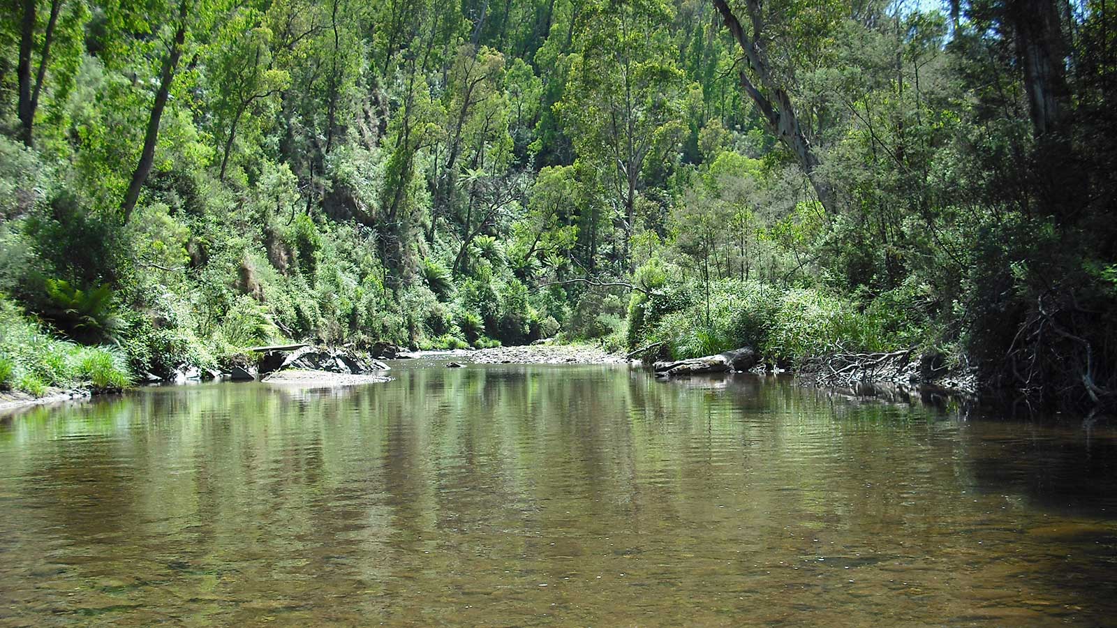 Howqua River Walk - Victoria's High Country