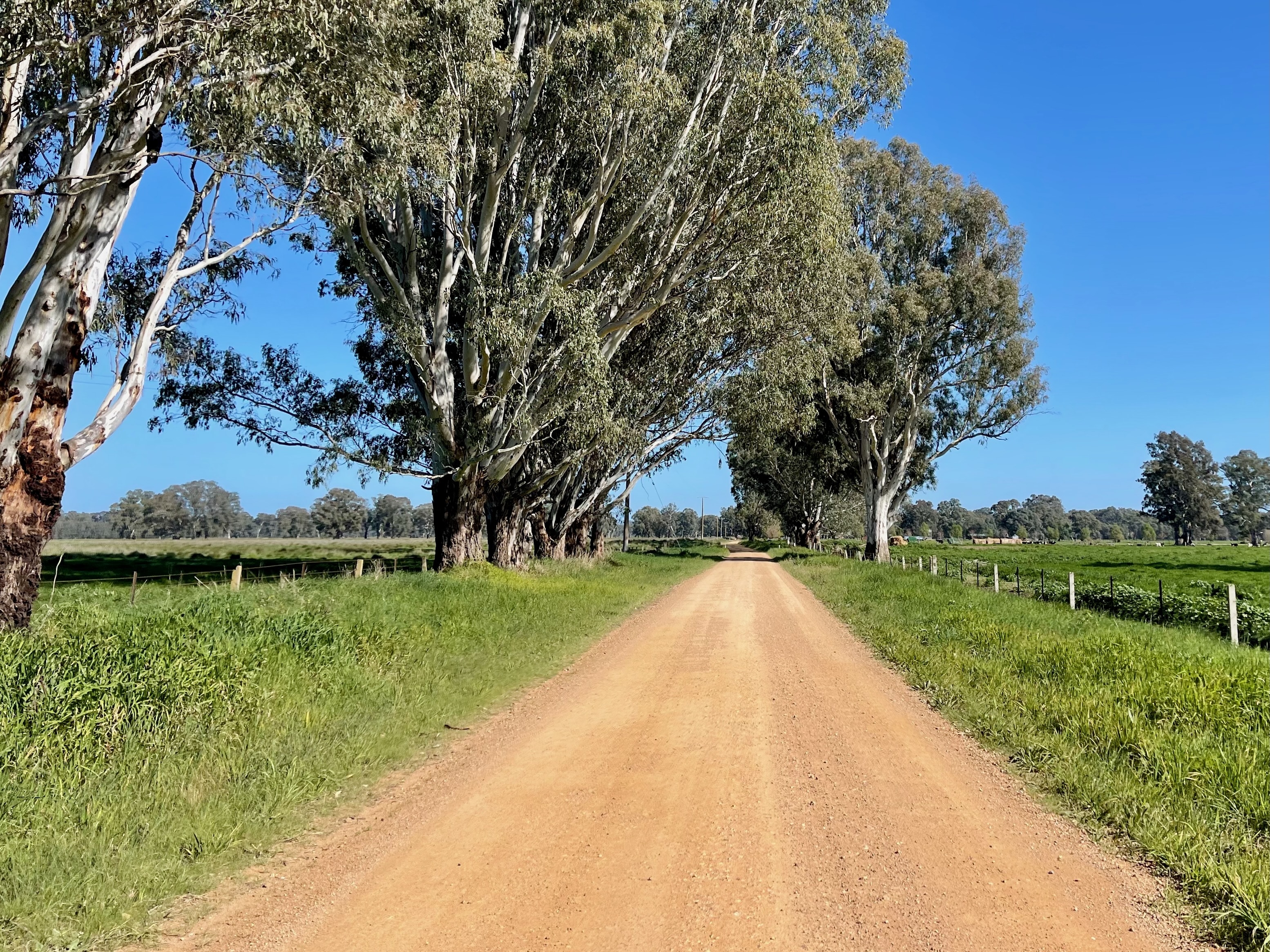 Quiet smooth gravel road running through open farmland