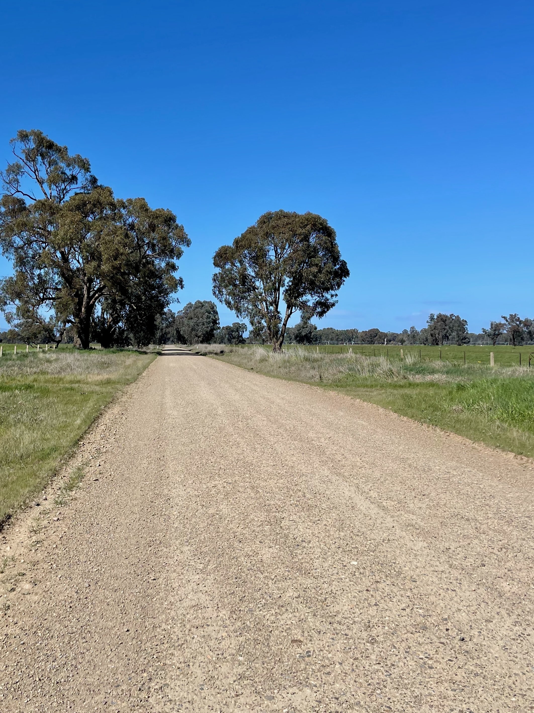 Gravel road with trees lining the road in the distance  on a sunny day