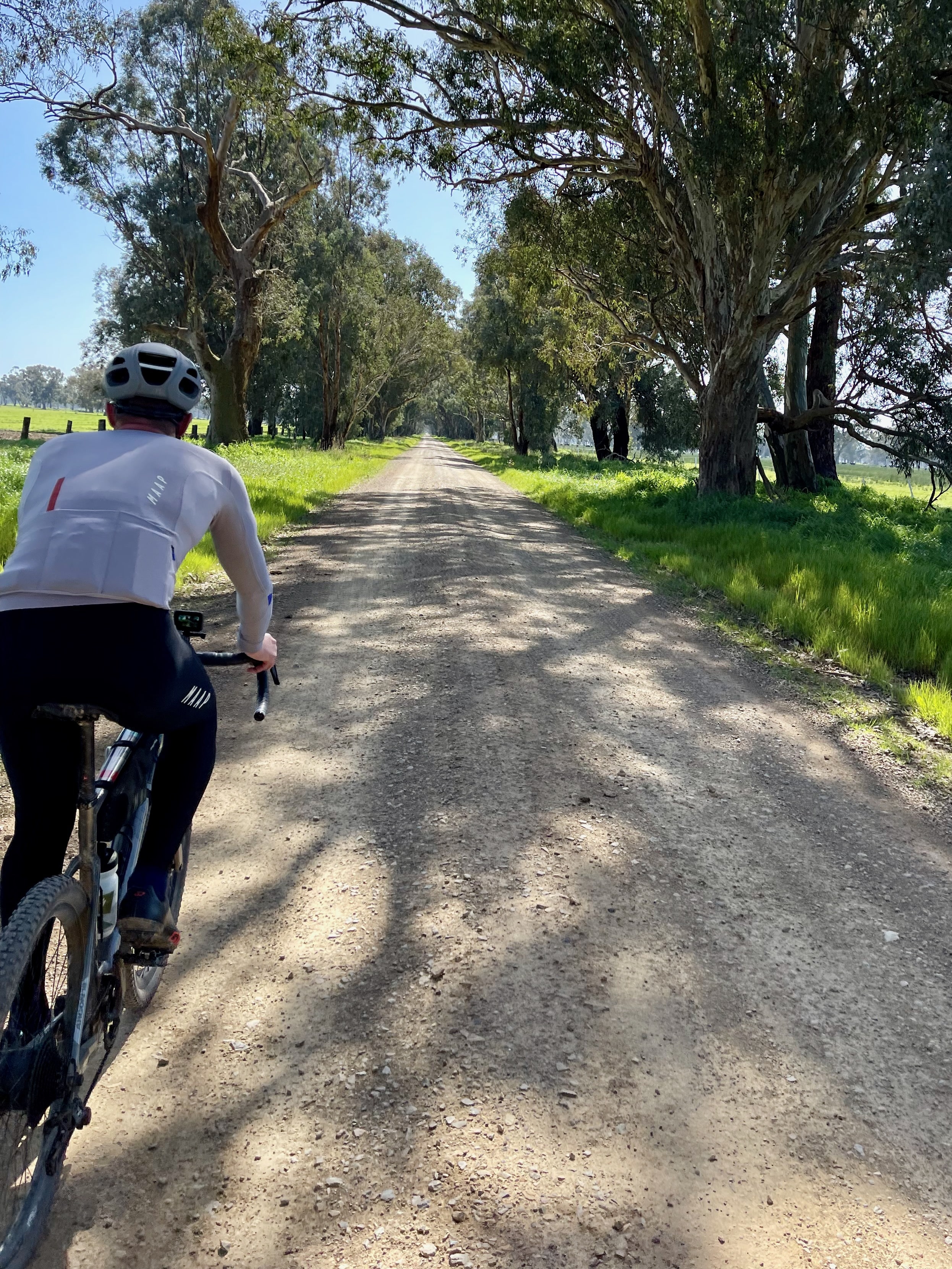 Cyclist gravel riding on a smooth gravel road with native trees providing shade