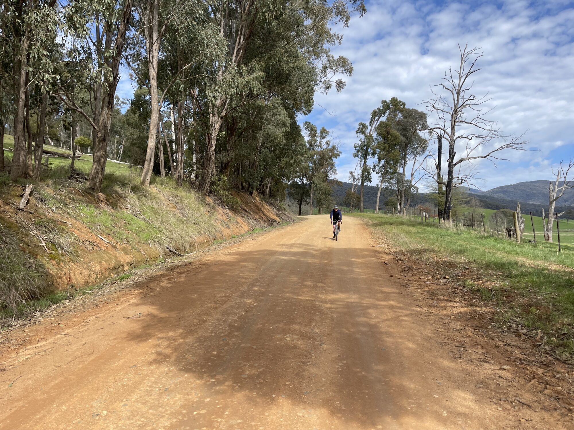 Cyclist riding on rural country roads near Mitta Mitta