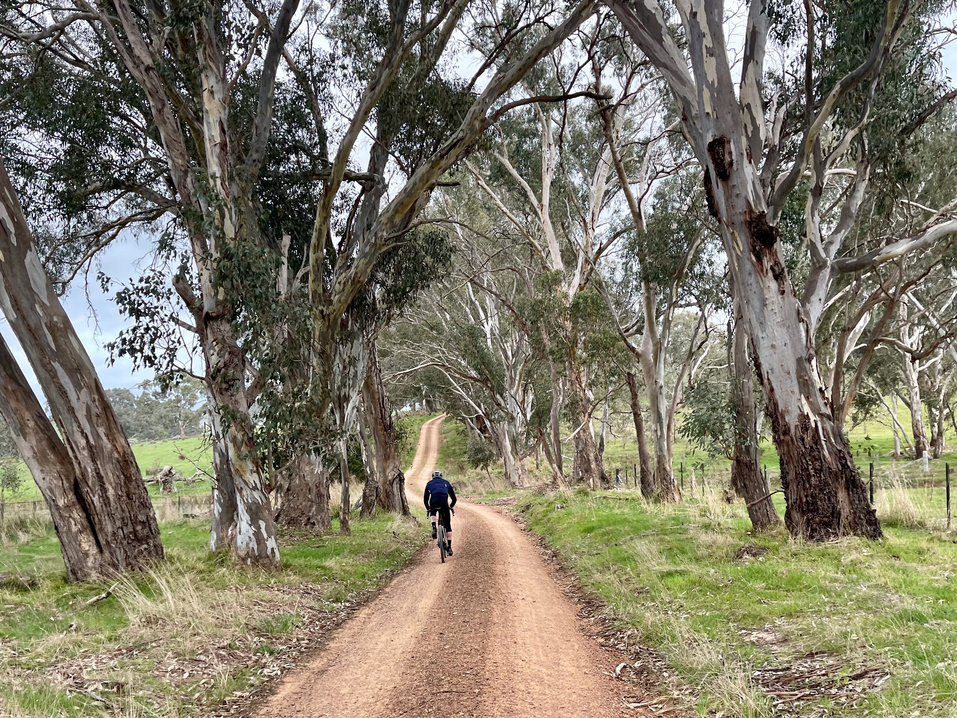 Gravel riding up through the native bushland