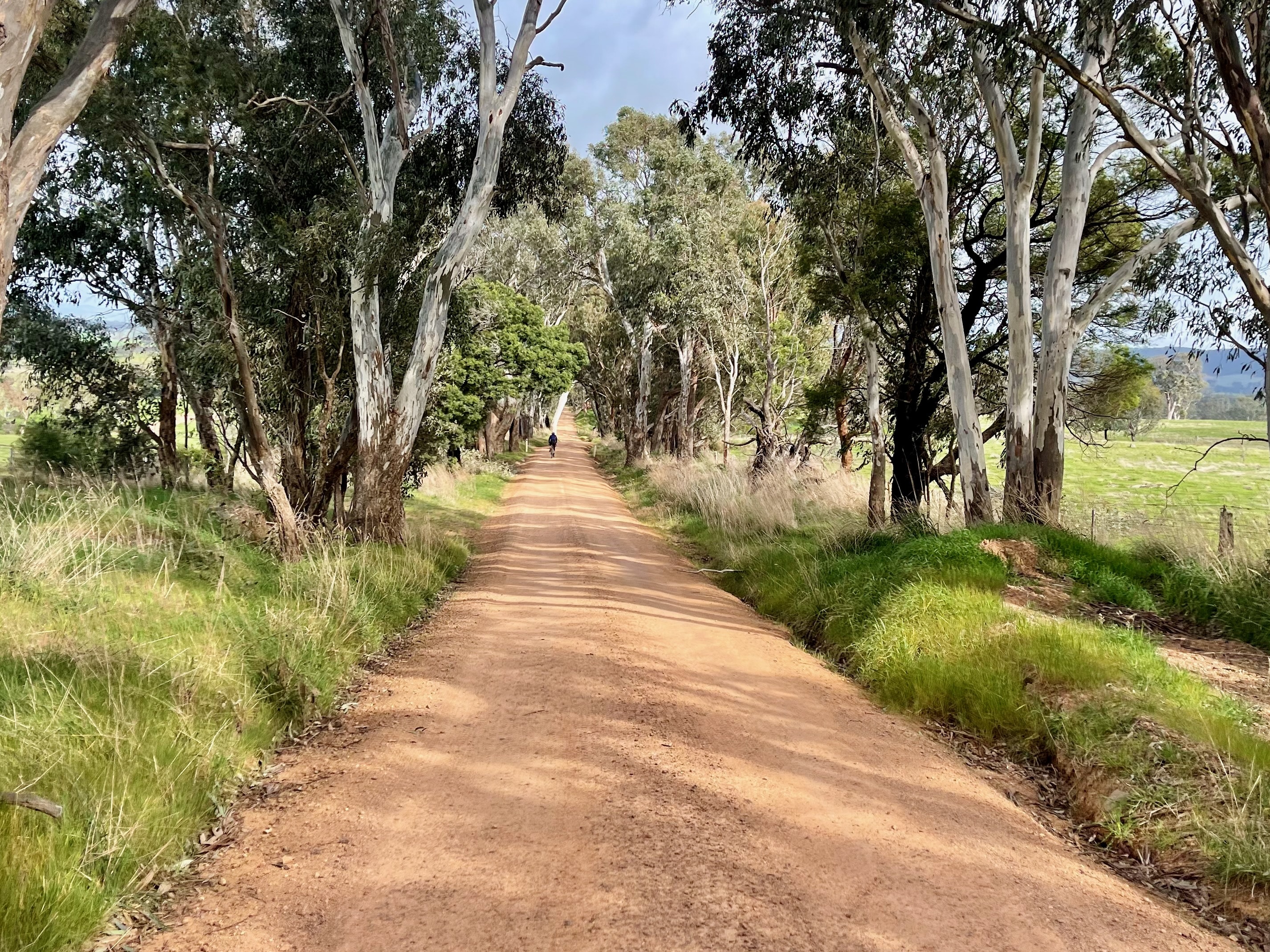 Gravel riding on quiet gravel roads underneath native gumtrees