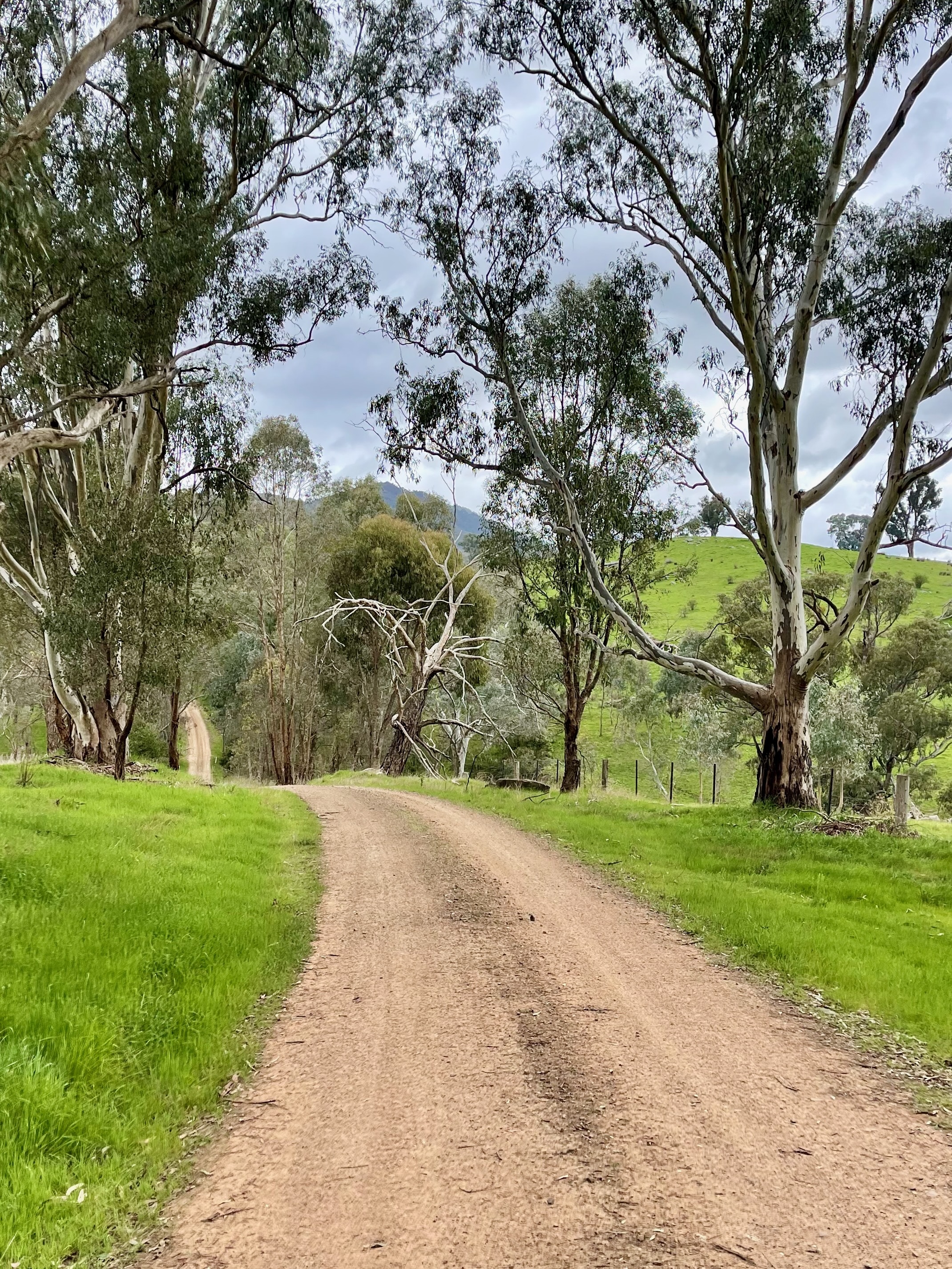 Rolling gravel roads