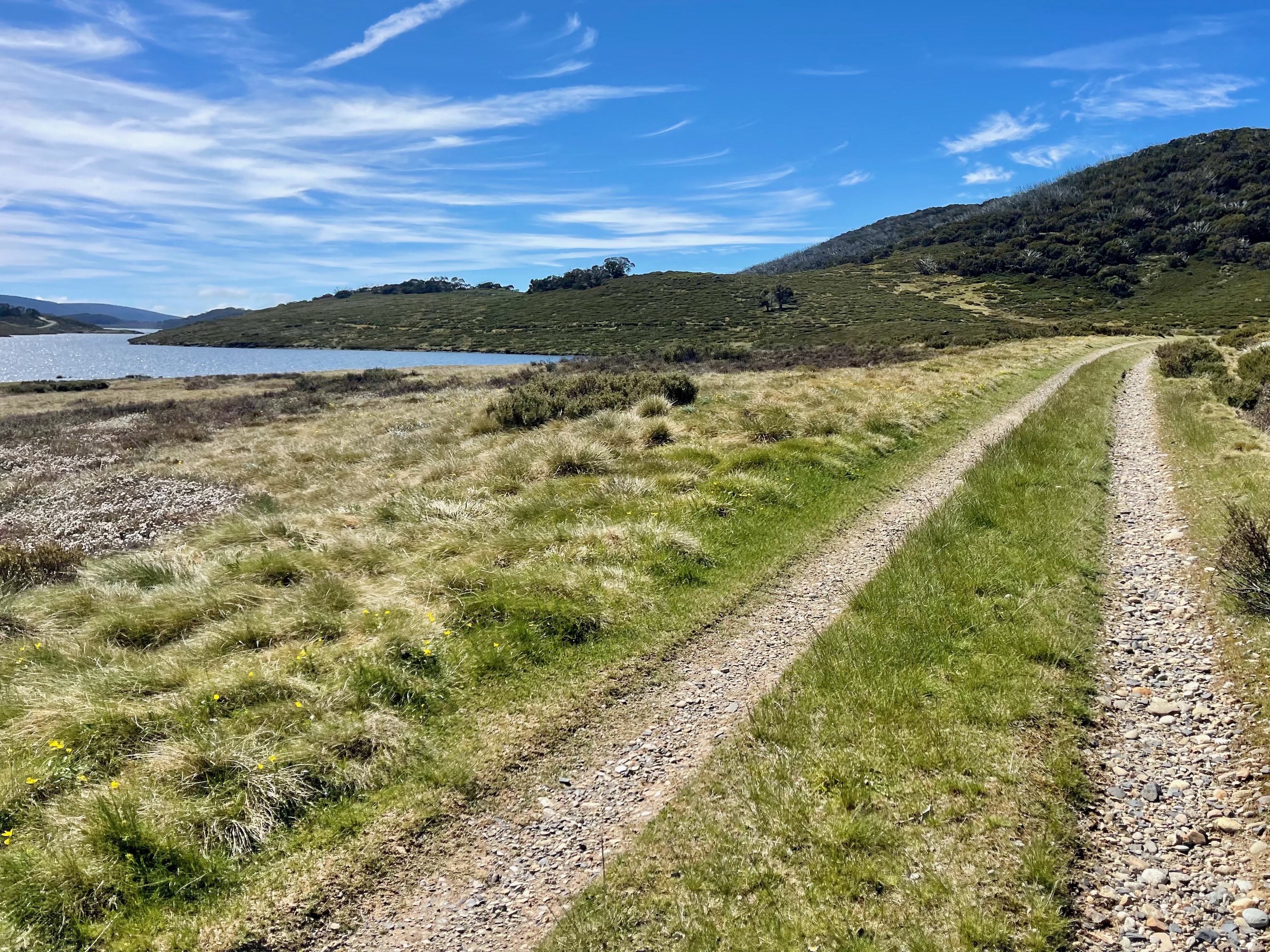 Double track gravel road winding through rolling hills surrounded by lush green tussock grass and a lake with surrounding hills in the background