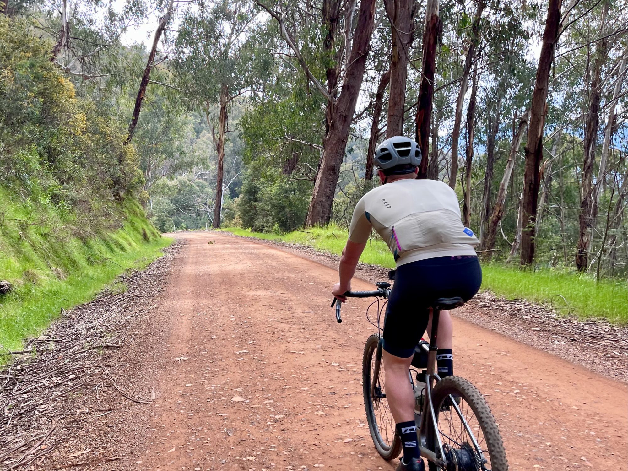 Cyclist riding on a smooth dirt road surrounded by a green lush native bushland