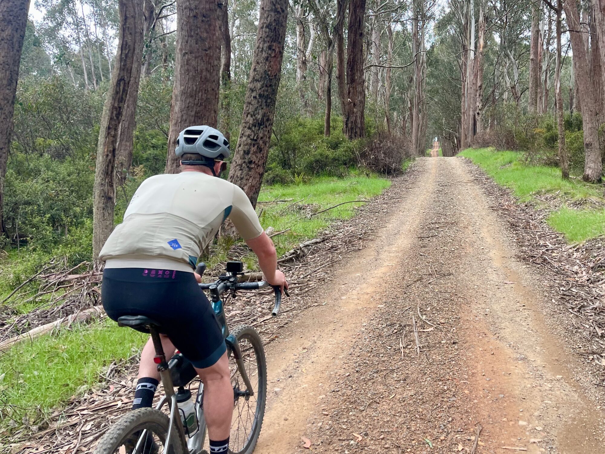 Cyclist riding on rolling gravel roads through native forest