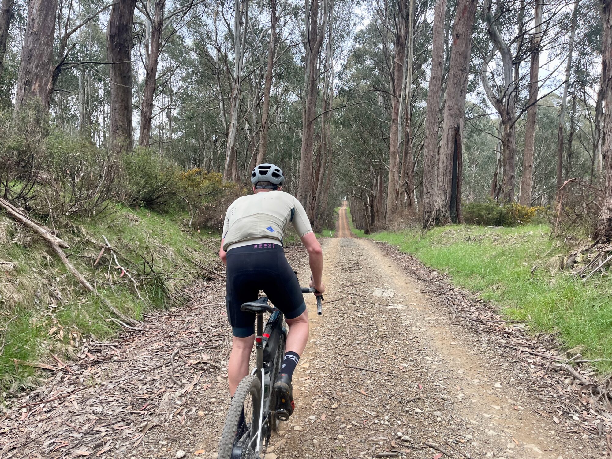 Cyclist standing over the bike to climb up a rolling gravel road through the native forest
